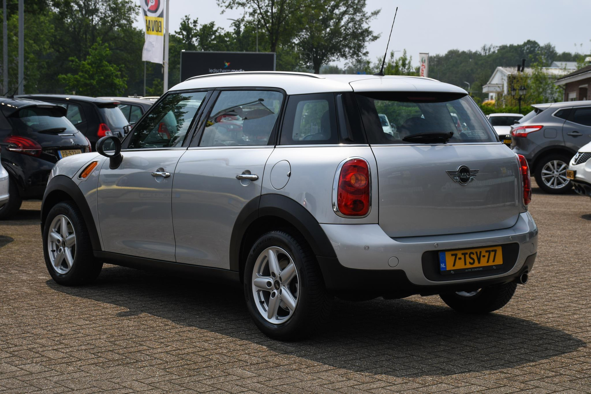 38250553-7.jpg