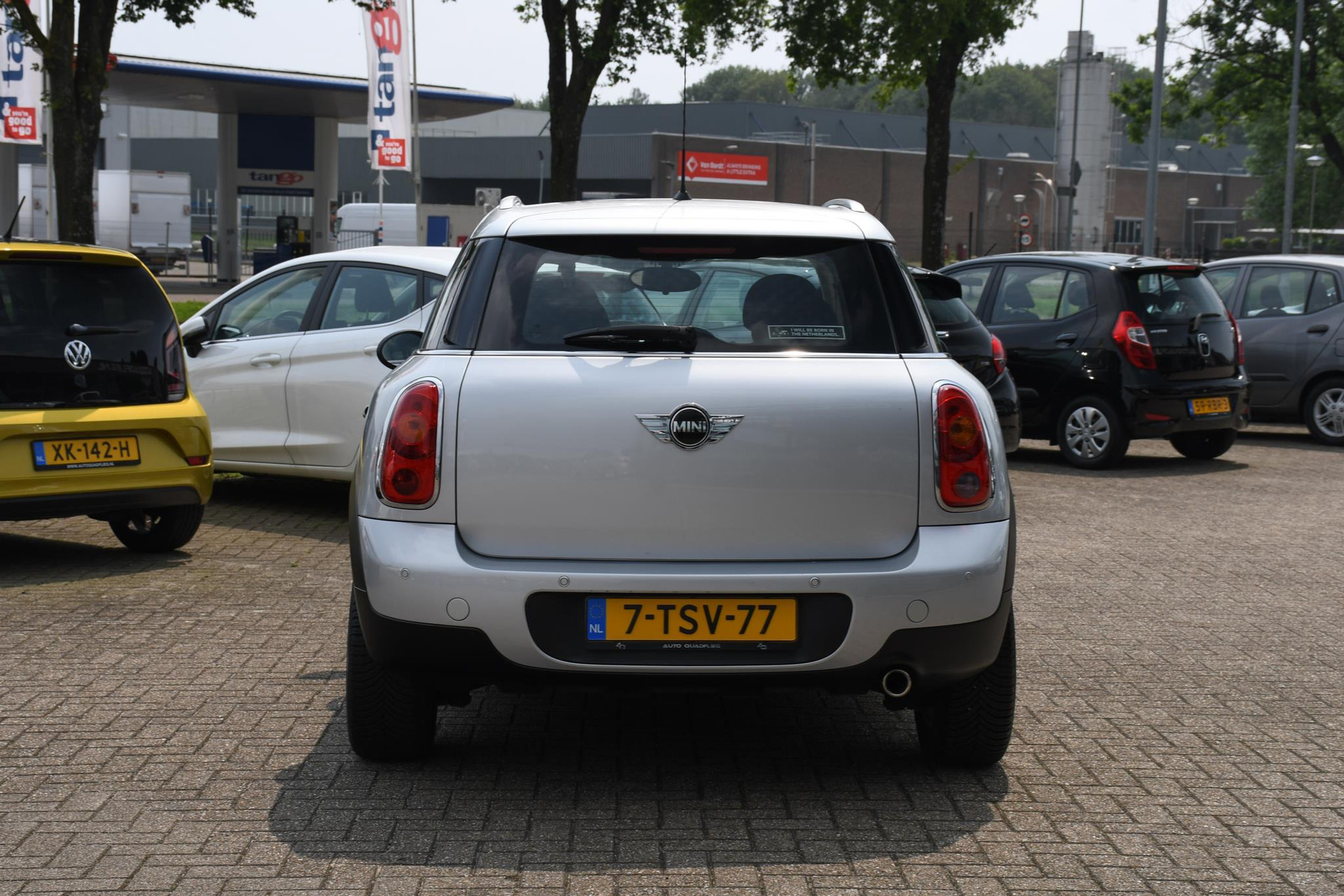 38250553-8.jpg