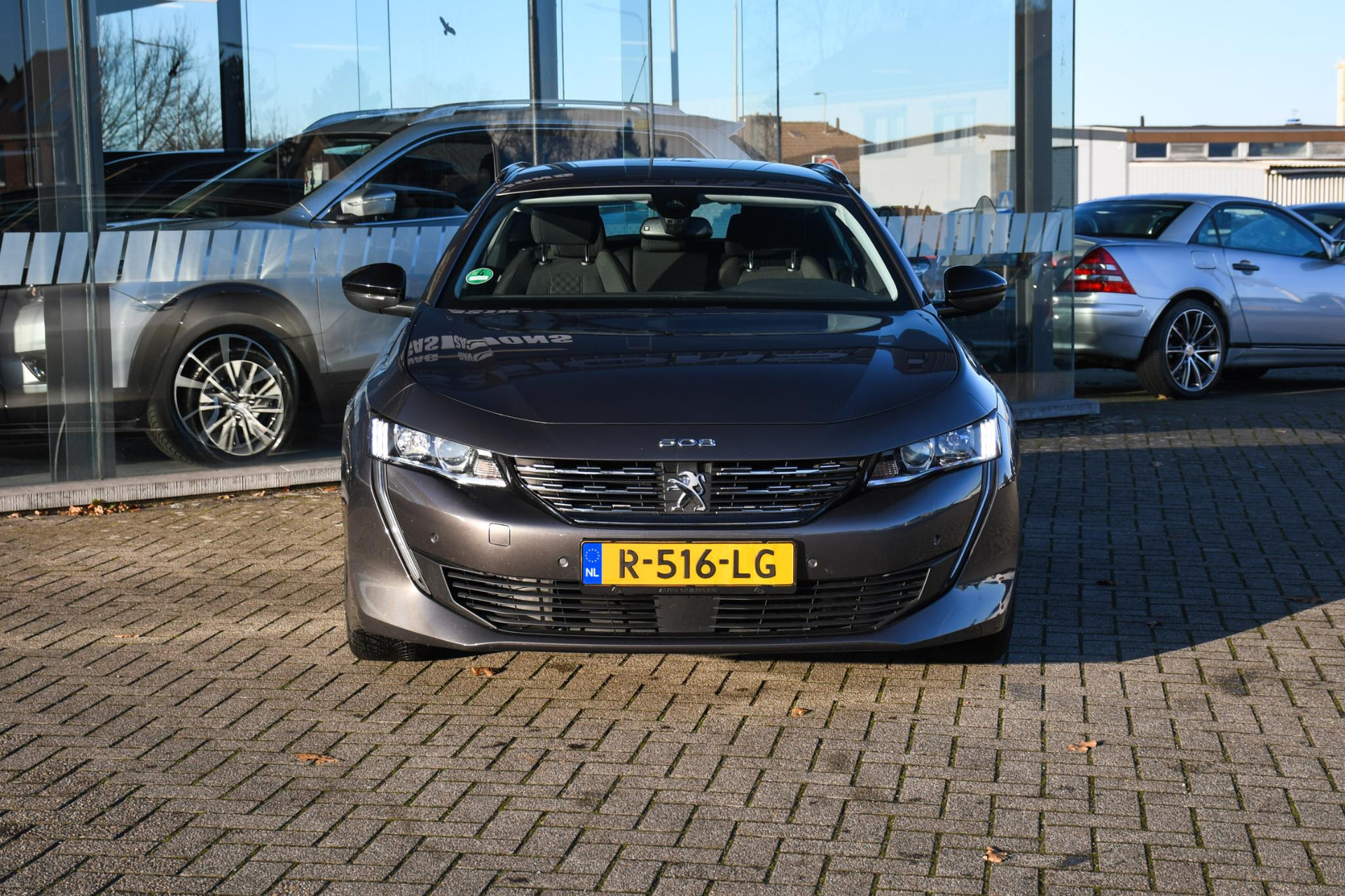 41447681-3.jpg