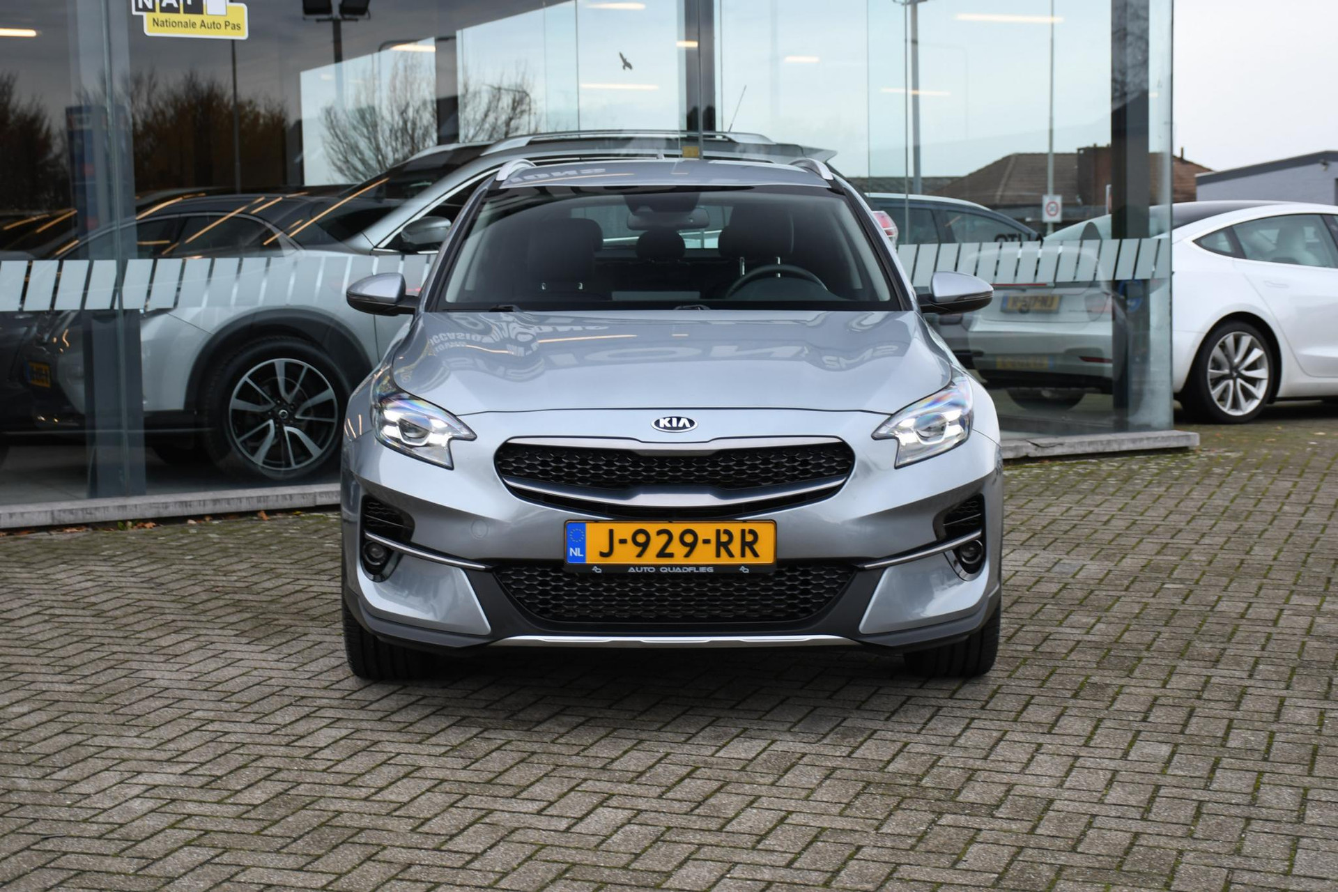 41469043-3.jpg