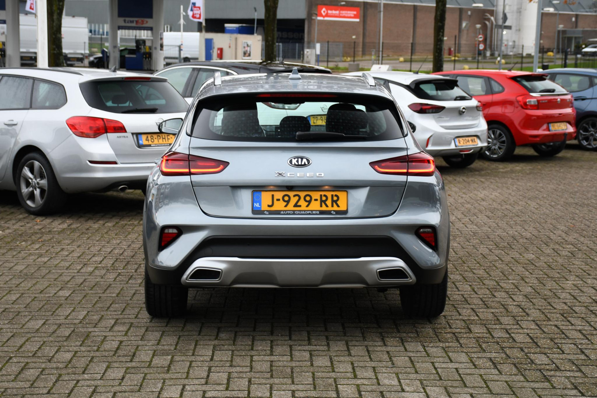 41469043-8.jpg