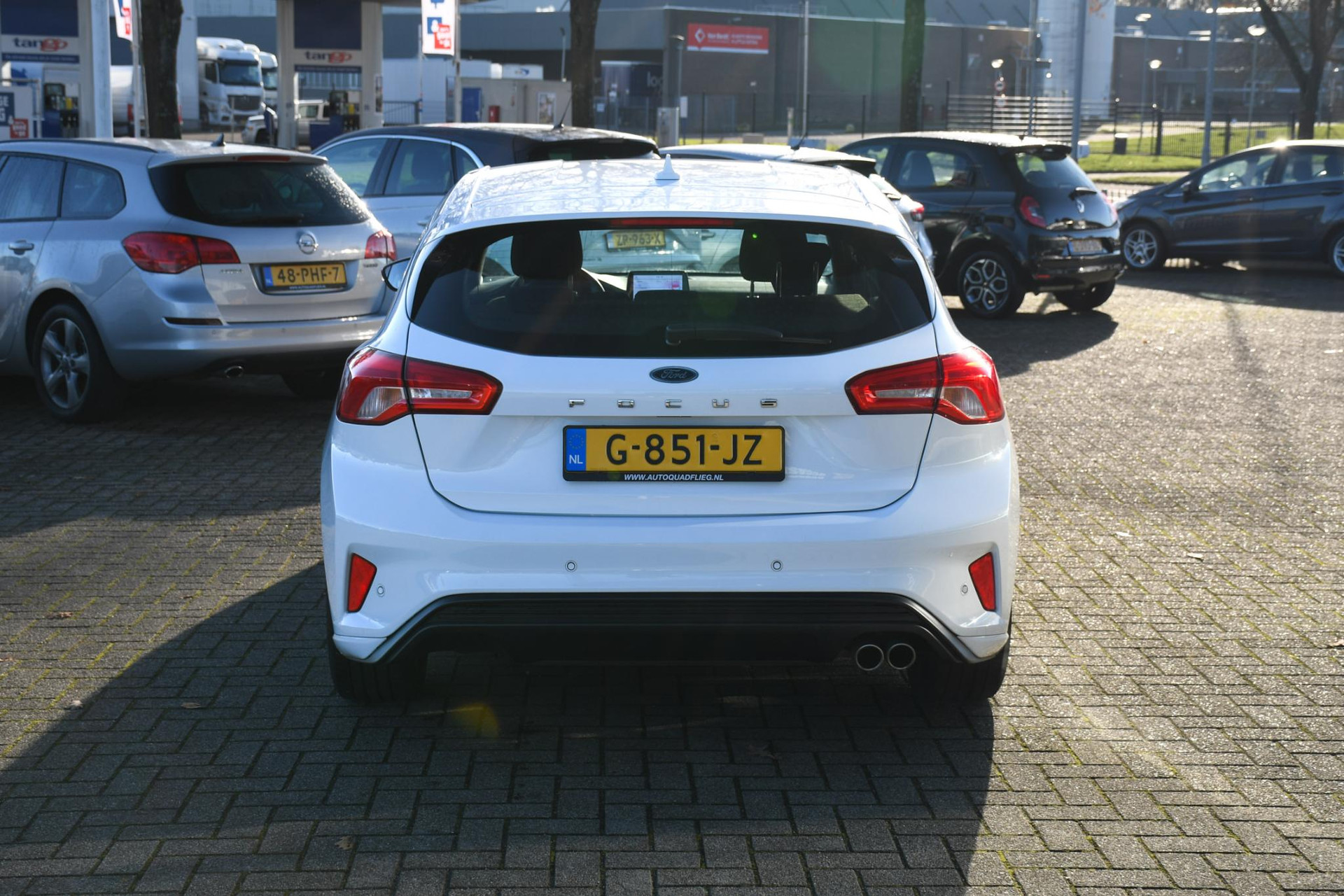 41581411-8.jpg