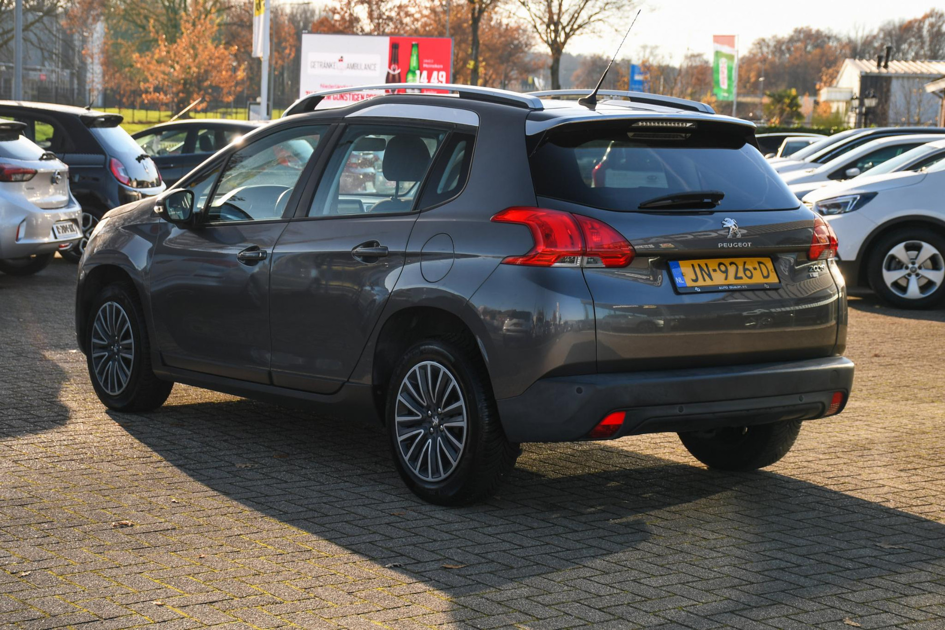 41652256-7.jpg