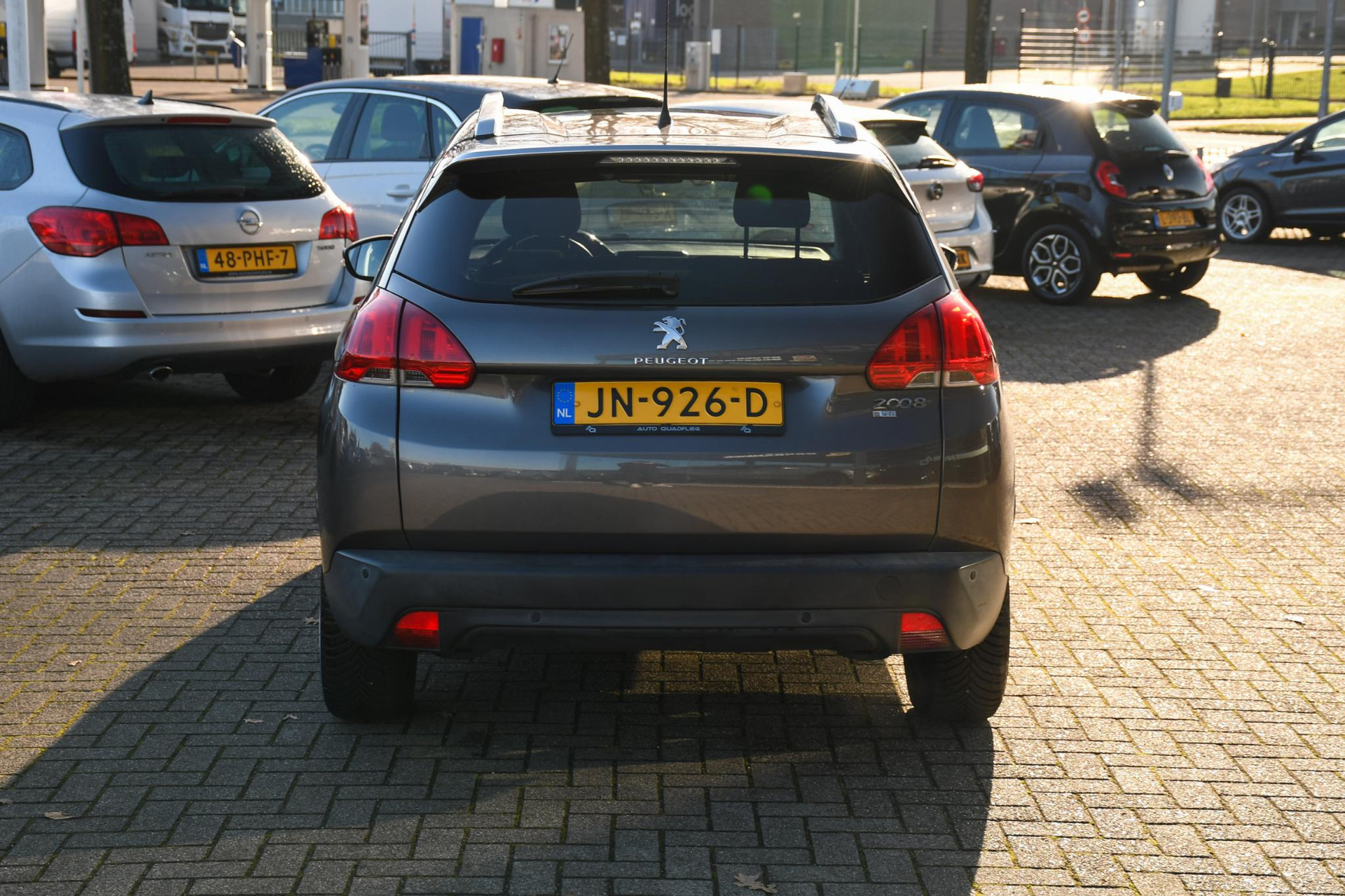 41652256-8.jpg