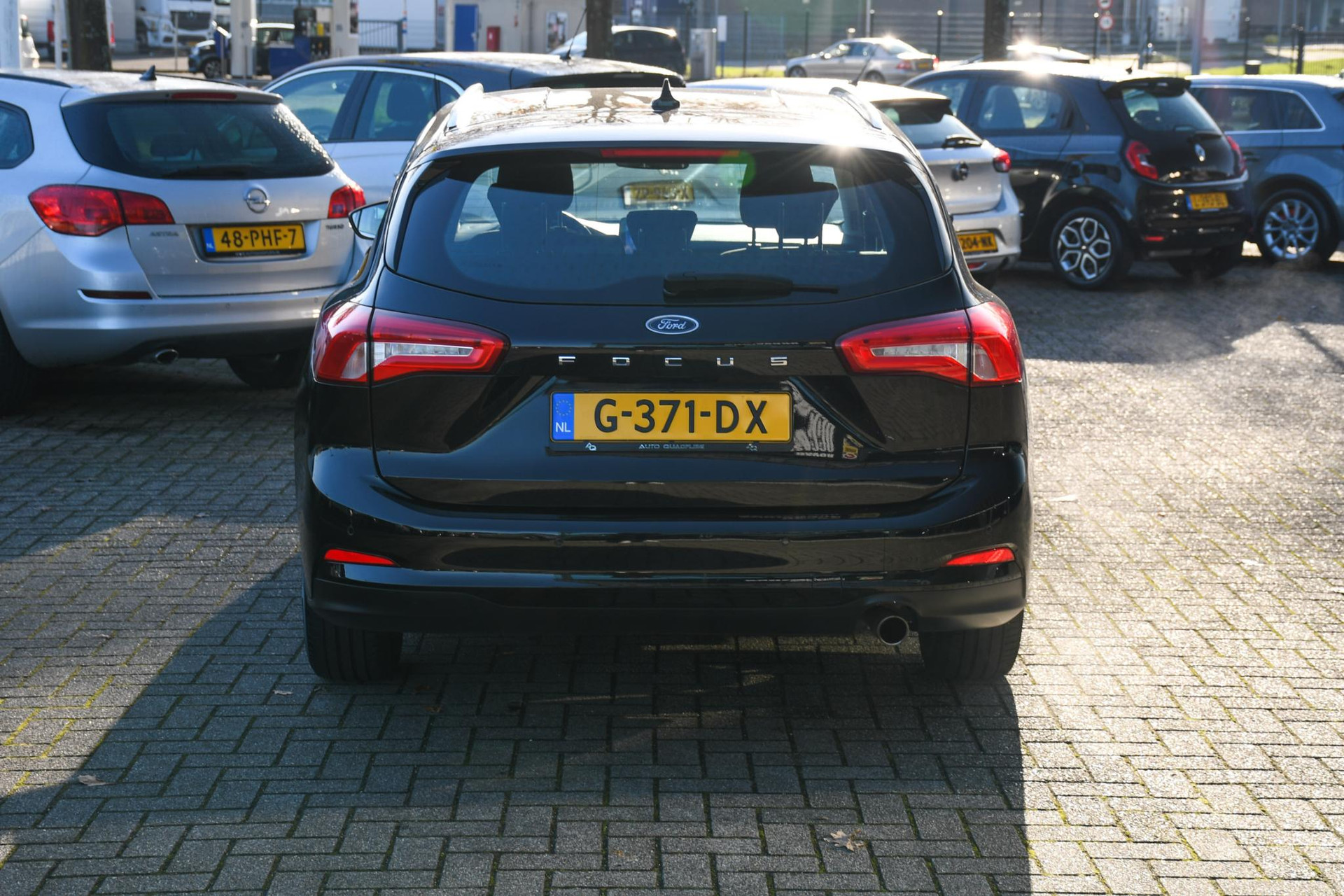 41658091-8.jpg
