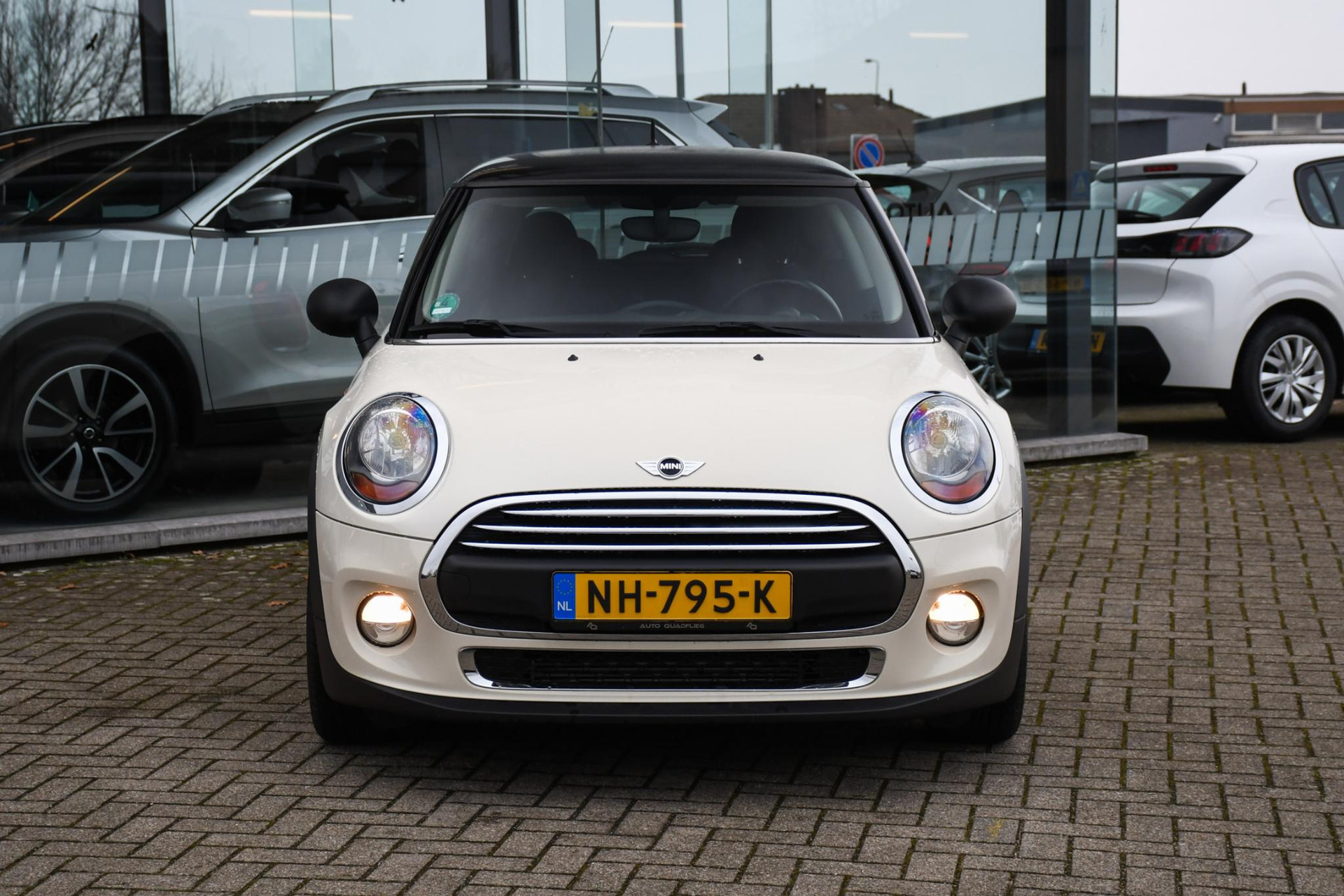 42940178-3.jpg
