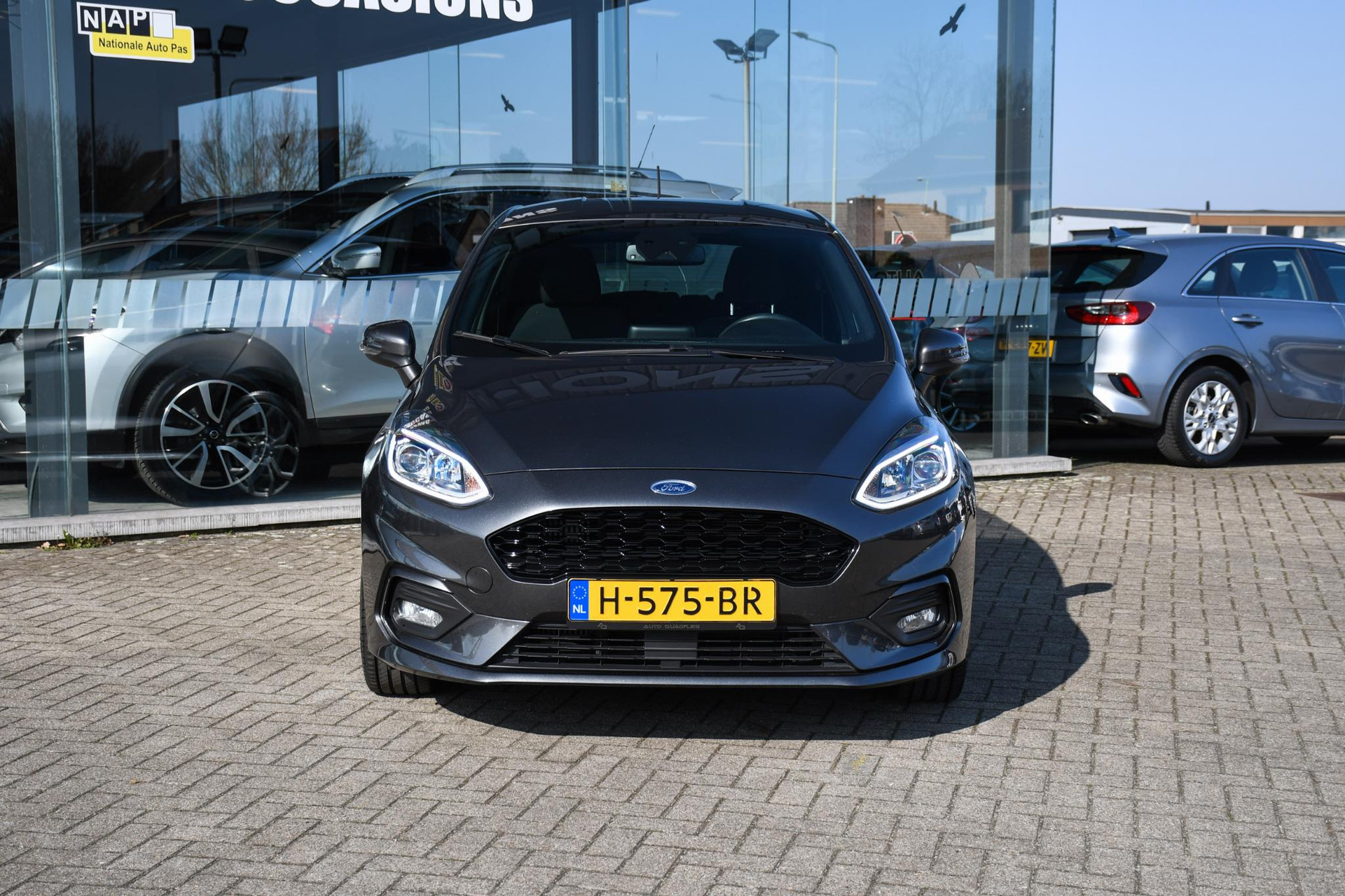 43165056-3.jpg