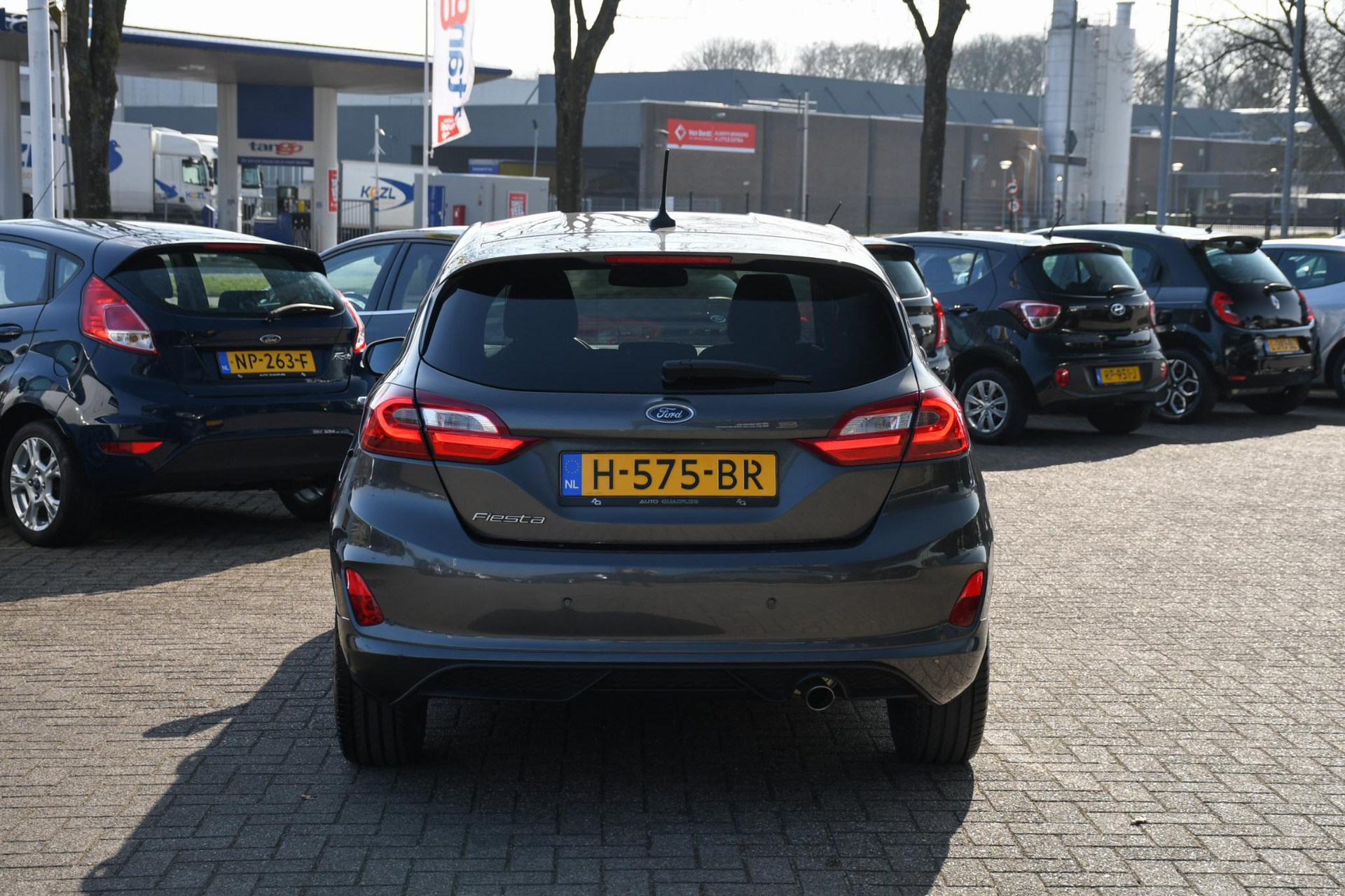 43165056-8.jpg