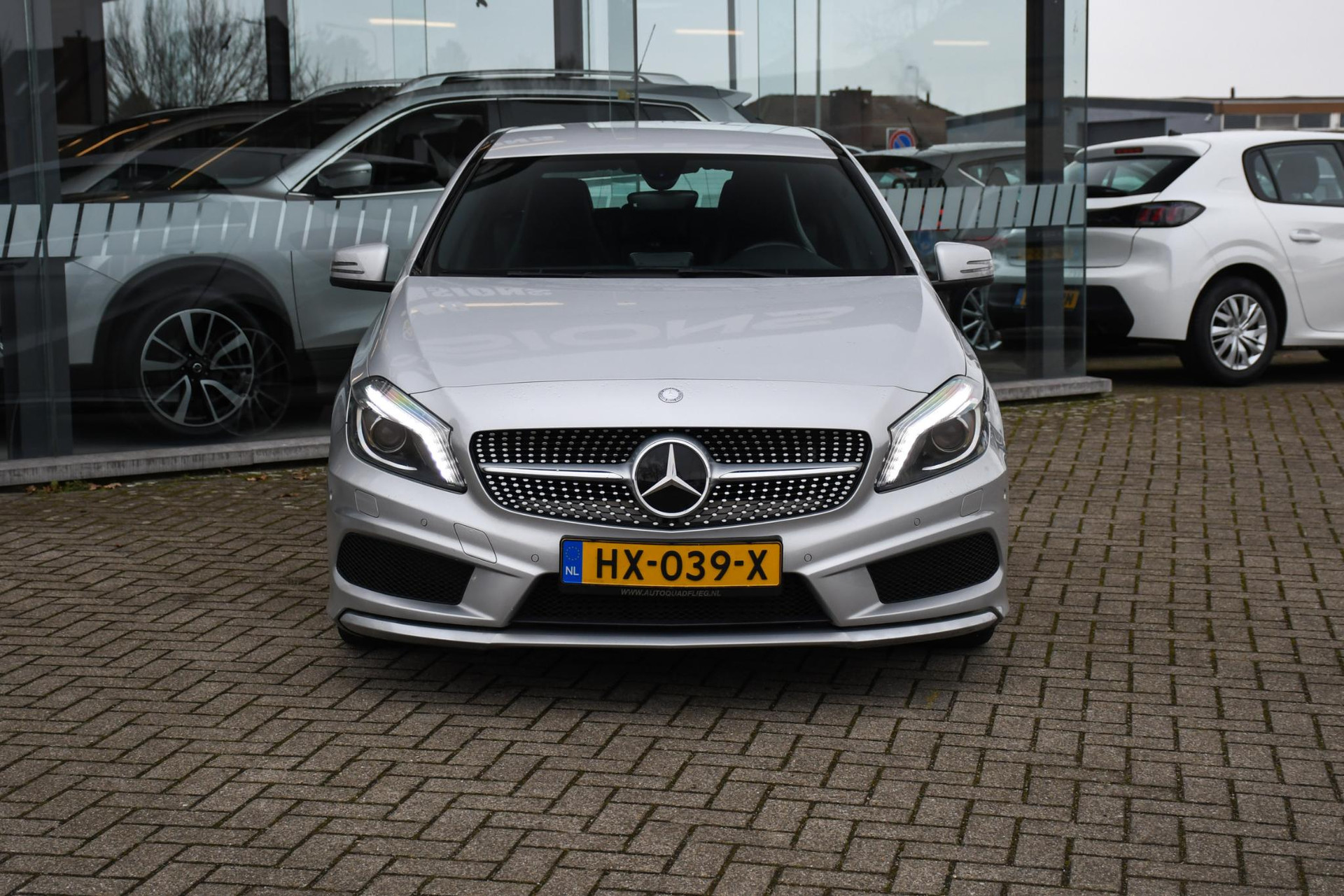 43165135-3.jpg
