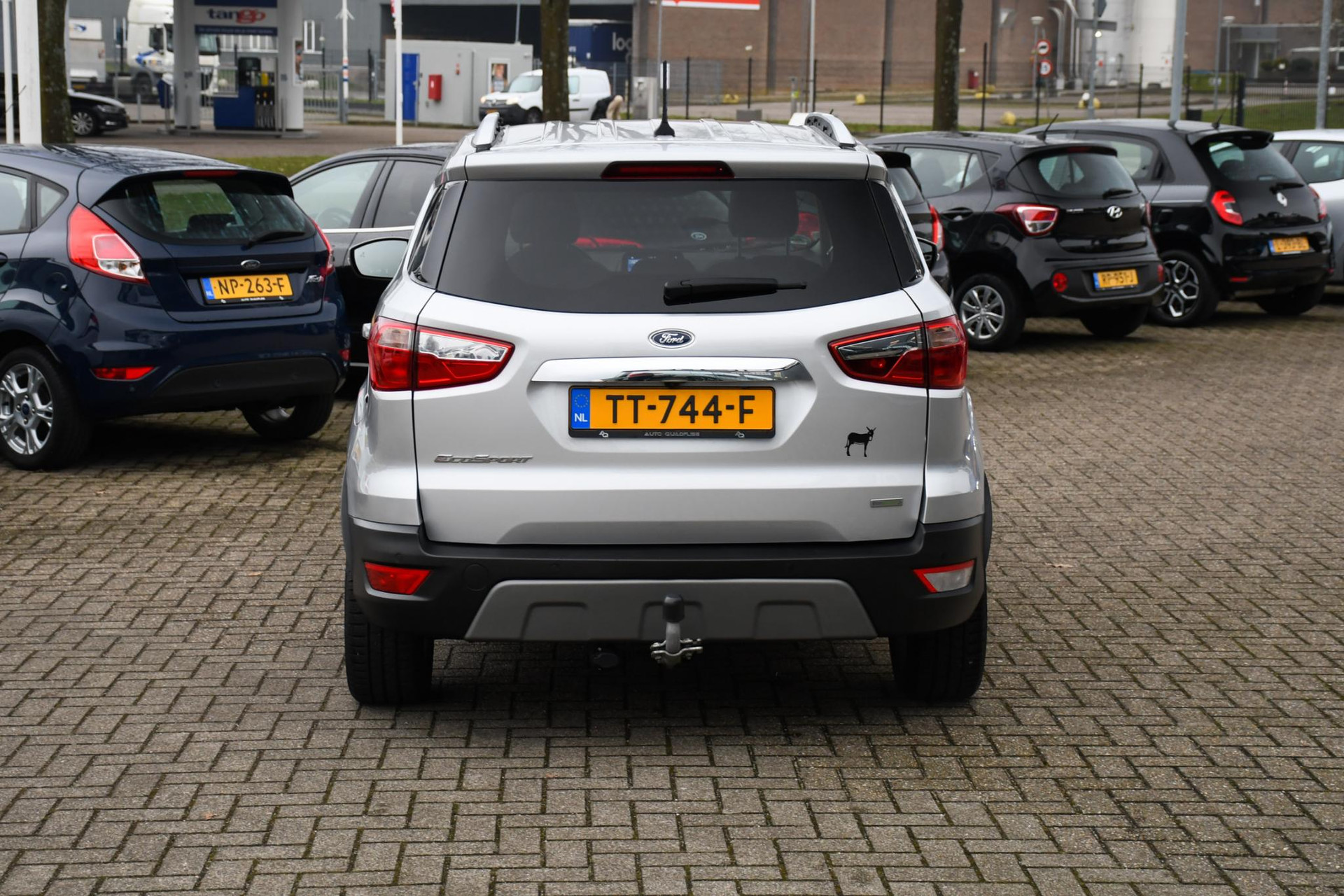 43377746-8.jpg