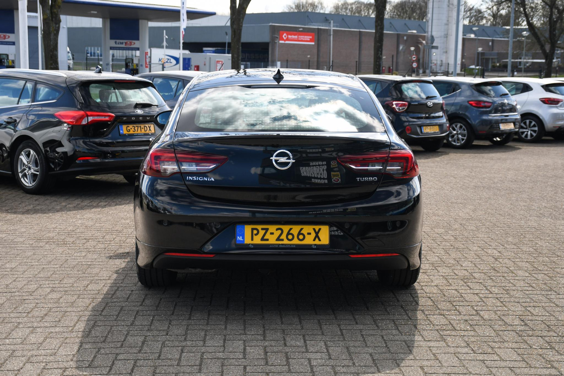 43838169-8.jpg