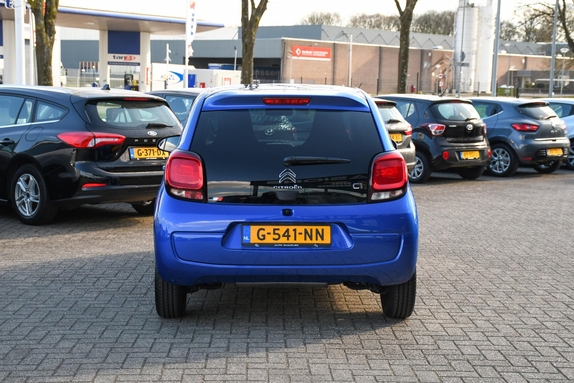 43838295-8.jpg