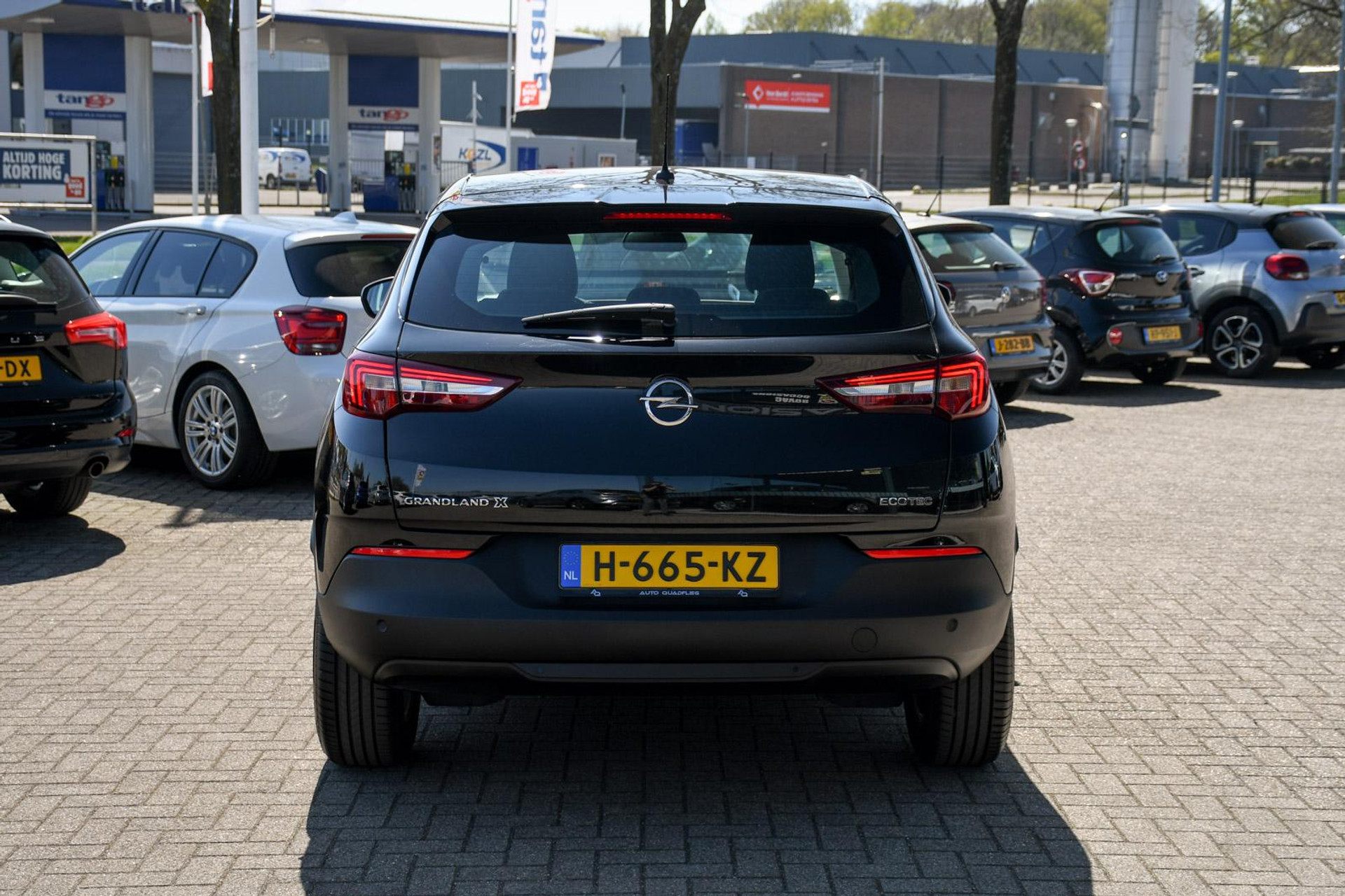 43853171-8.jpg