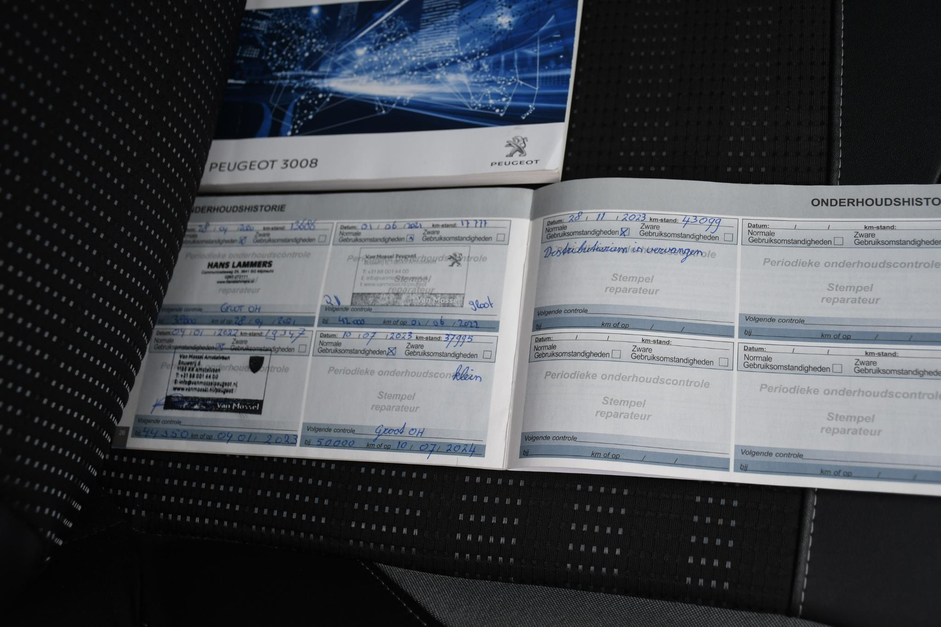 43884204-31.jpg