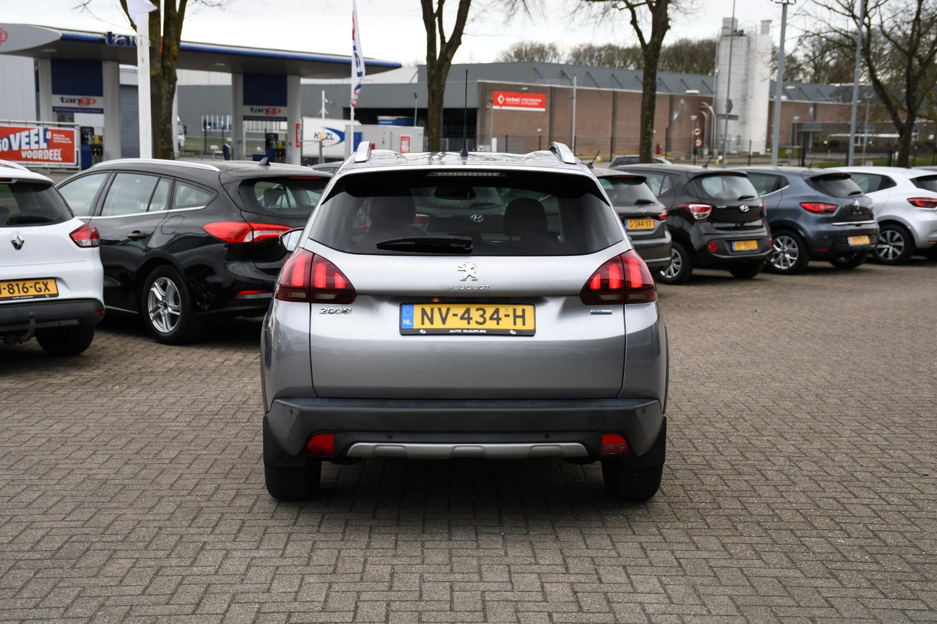 43884204-8.jpg