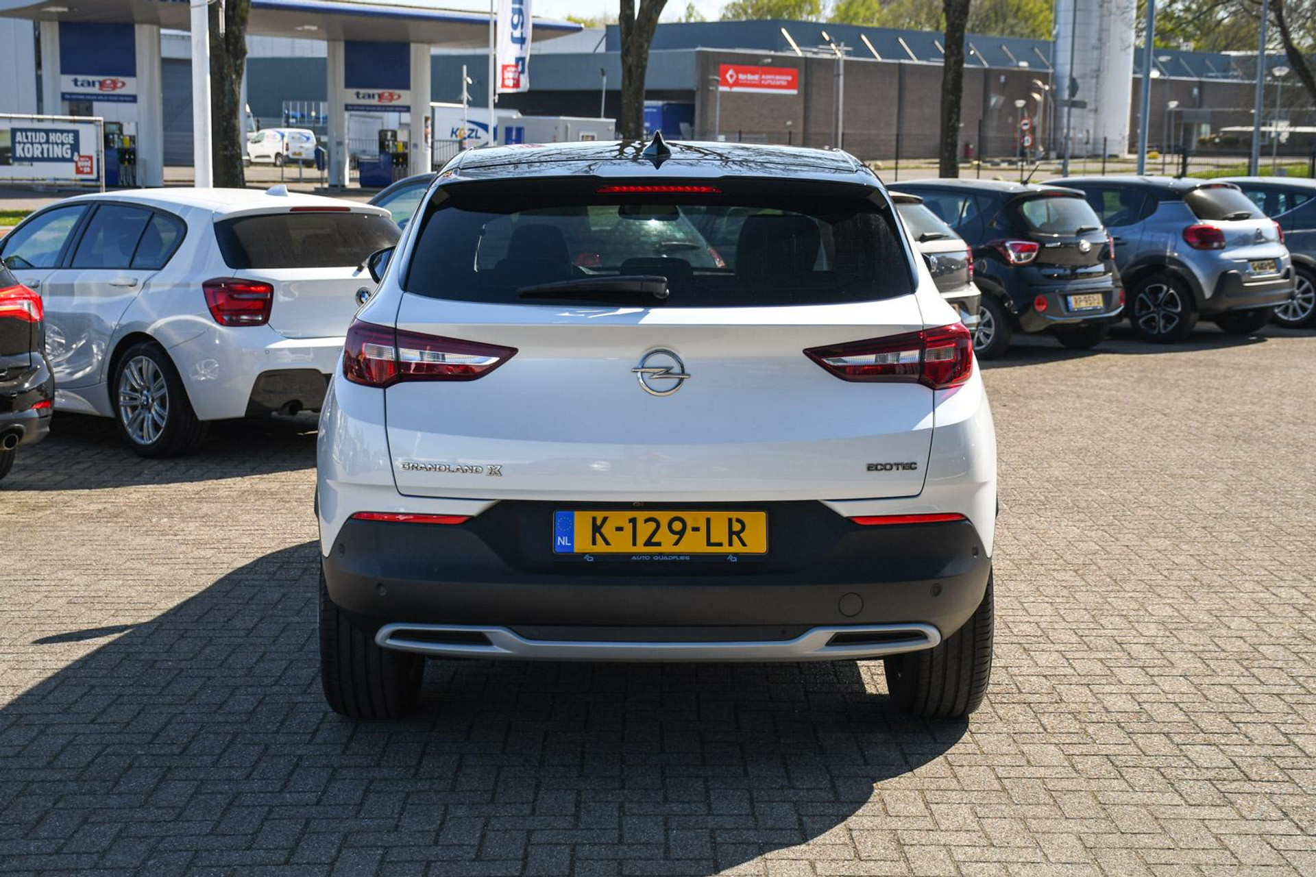 44287183-8.jpg