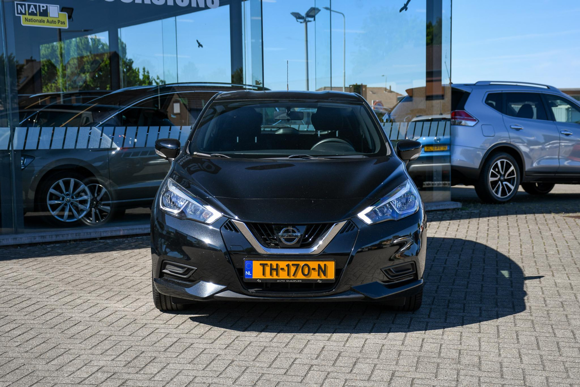44291567-3.jpg