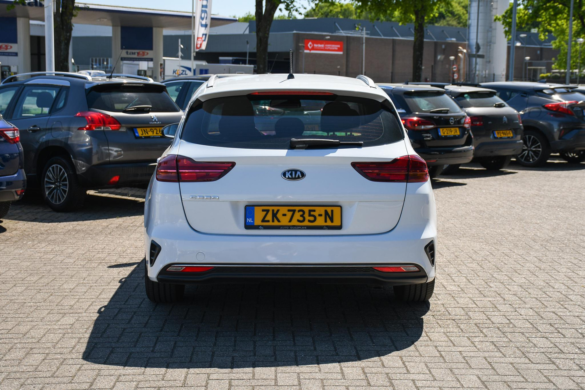 44774057-8.jpg