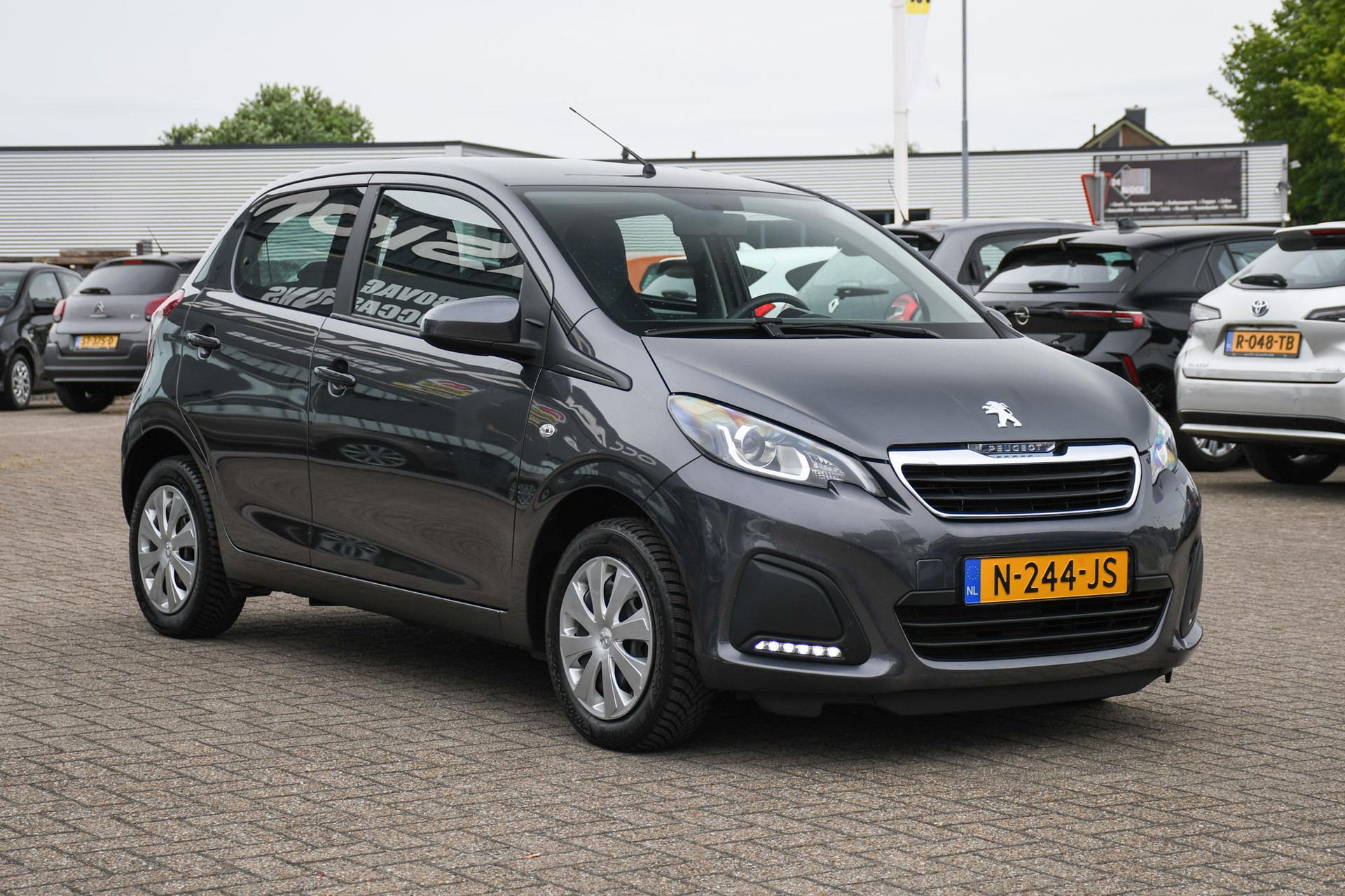 45246154-2.jpg