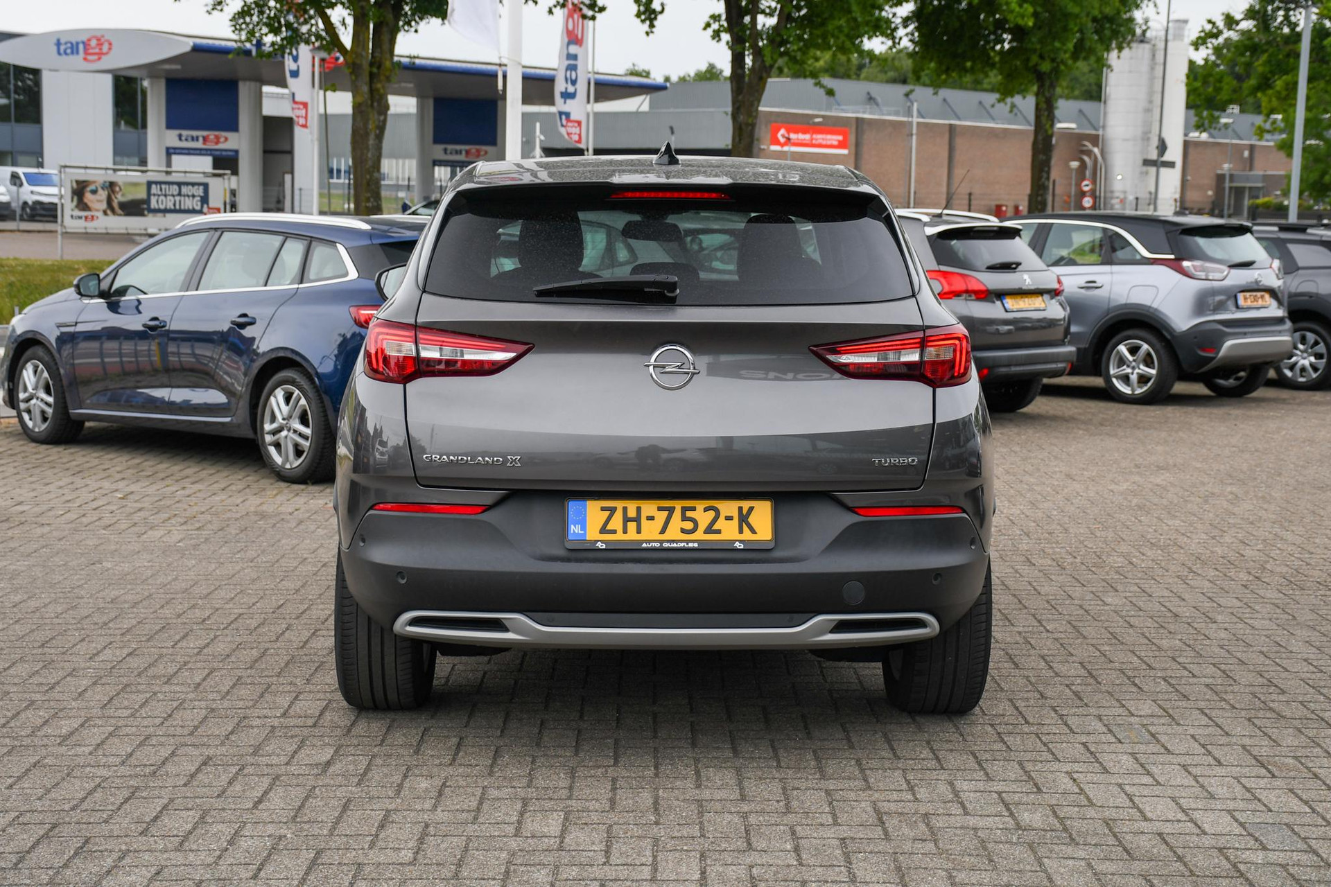 45291850-8.jpg