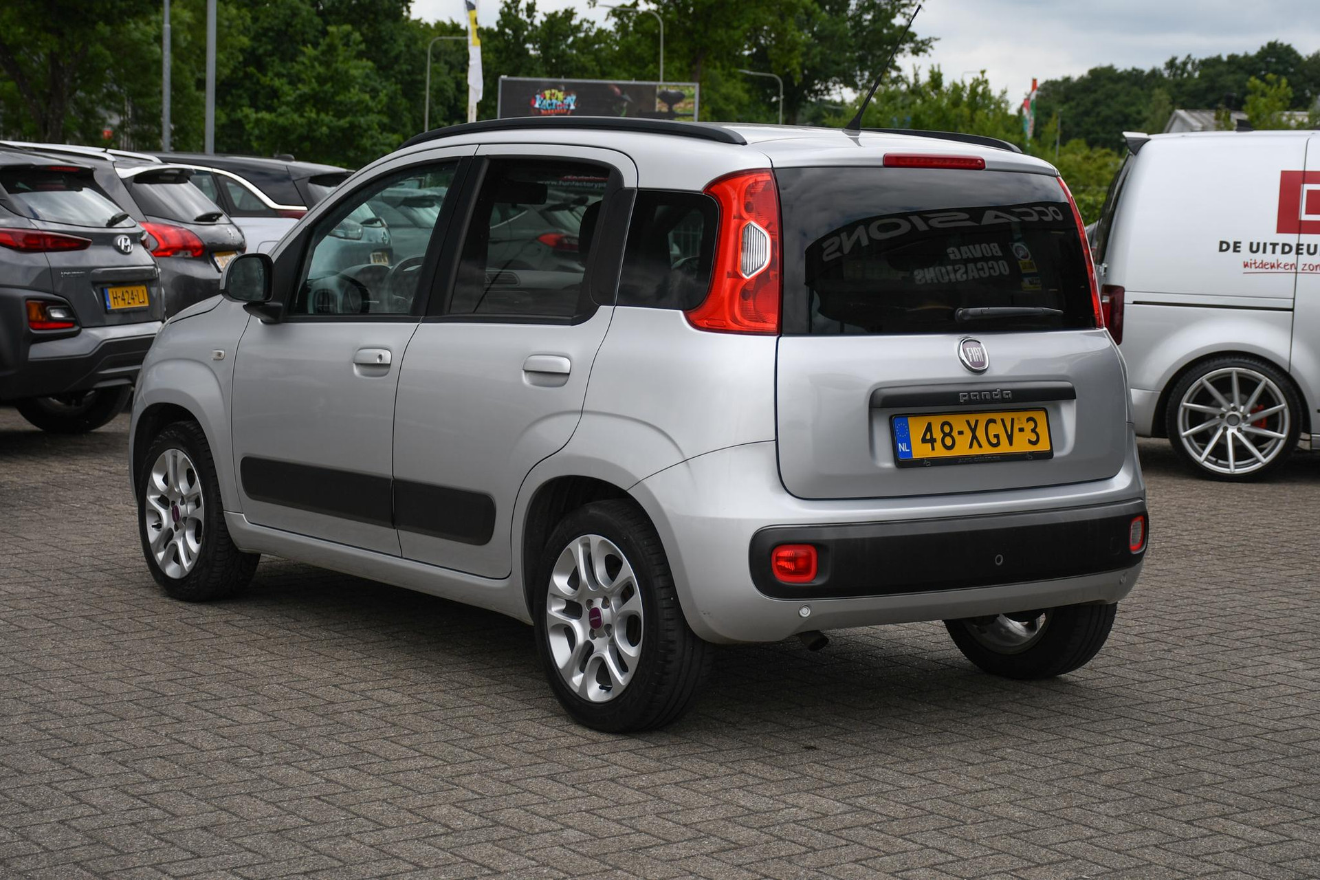 45373072-7.jpg