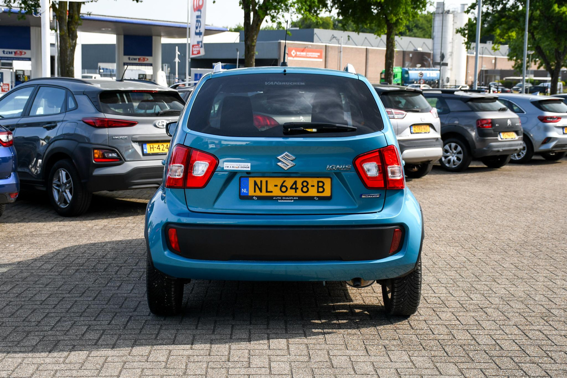 45748612-8.jpg