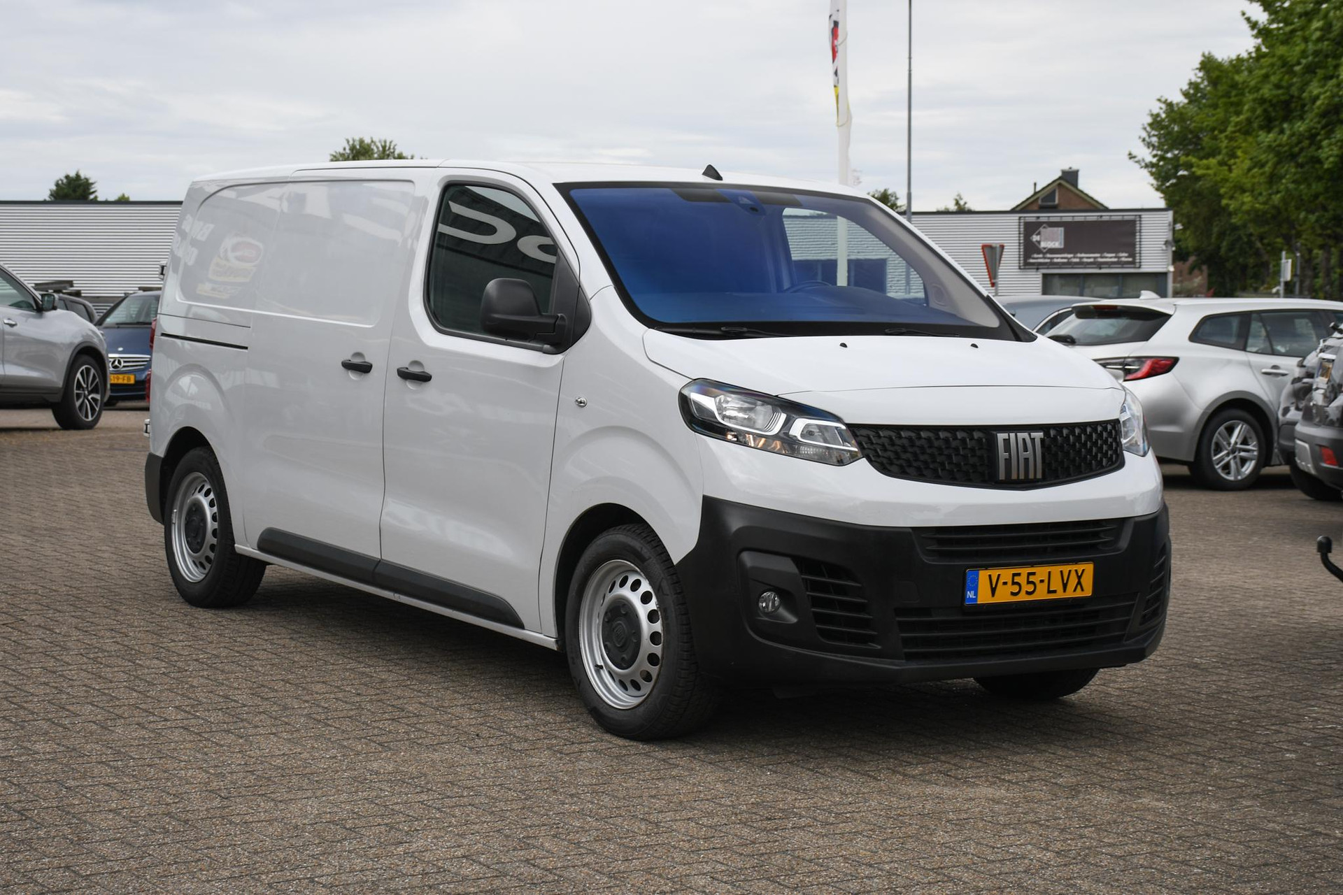45986397-2.jpg