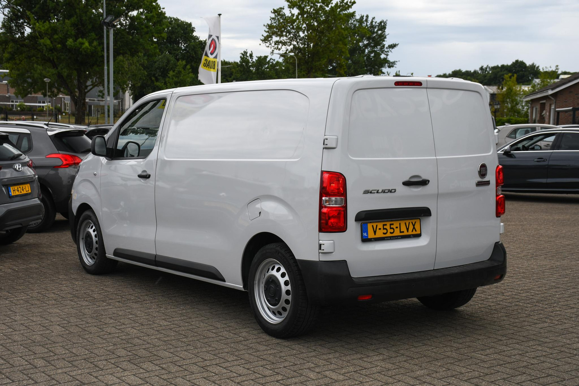 45986397-7.jpg