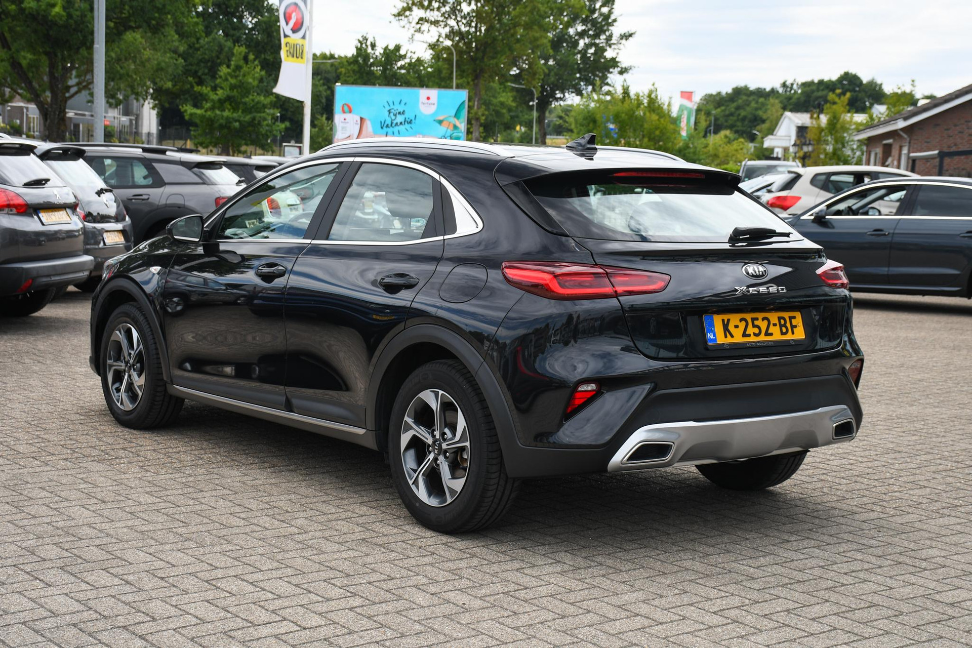 46215458-7.jpg