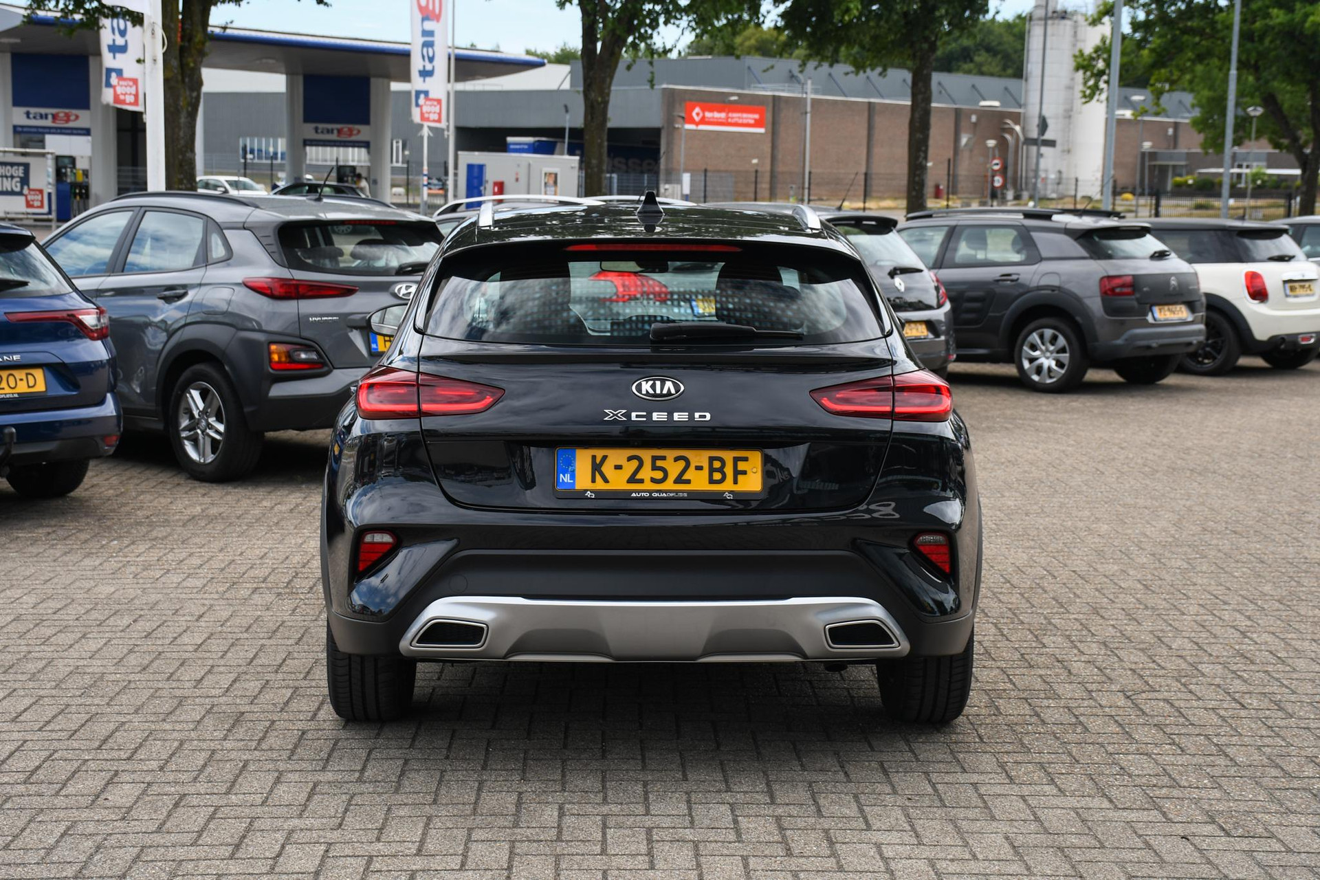 46215458-8.jpg