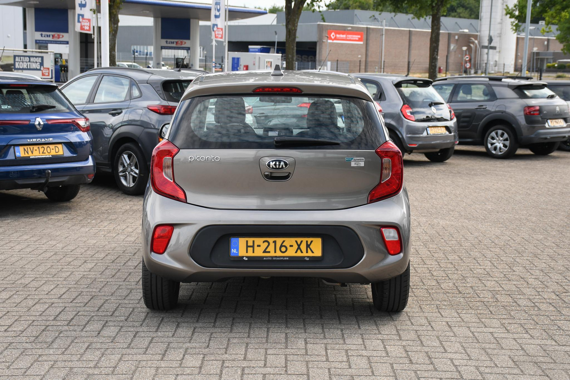 46224934-6.jpg