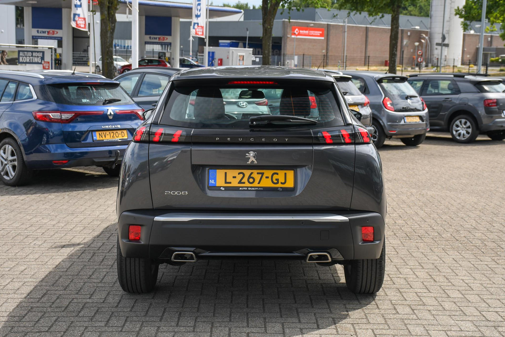 46270534-8.jpg