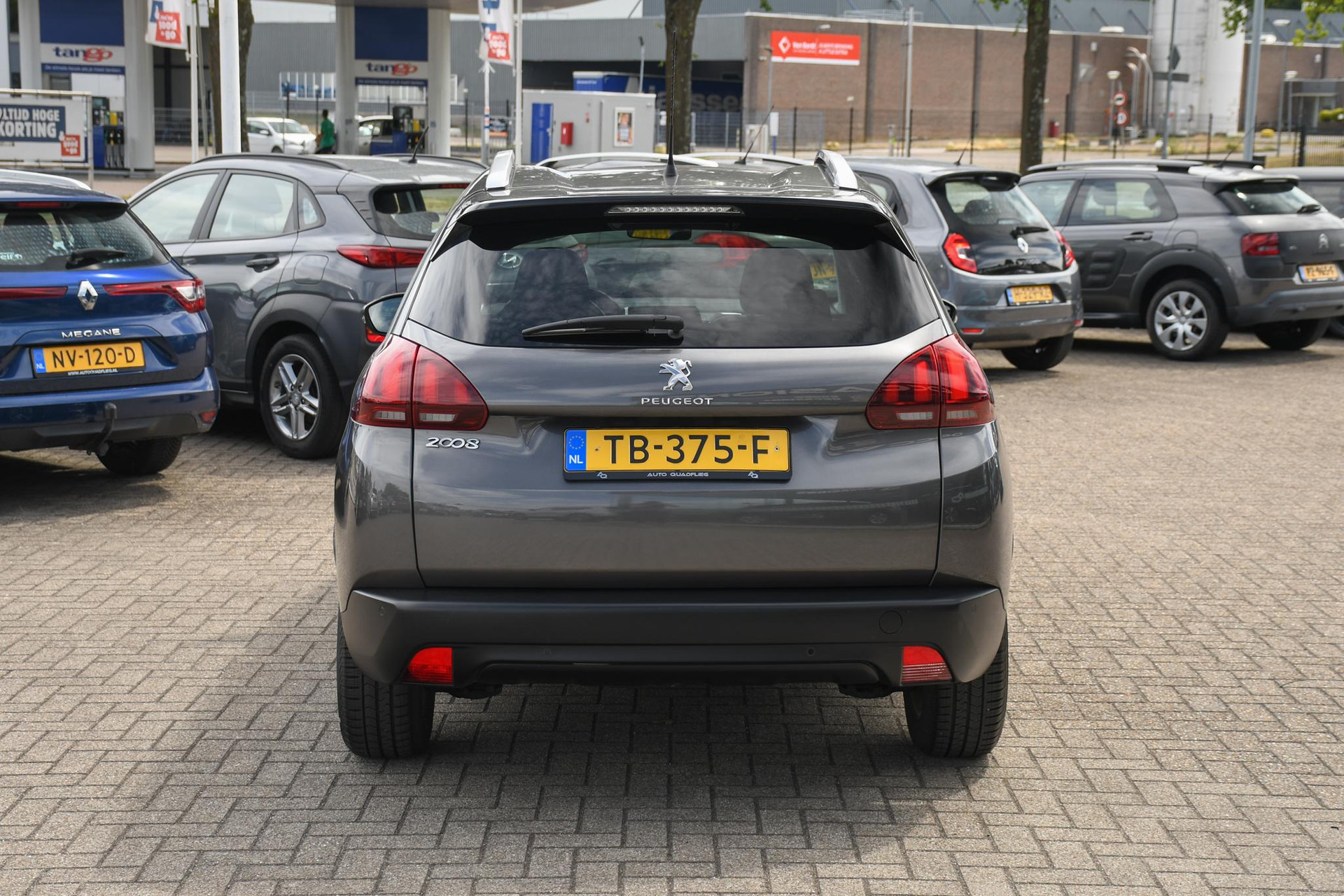46271531-8.jpg