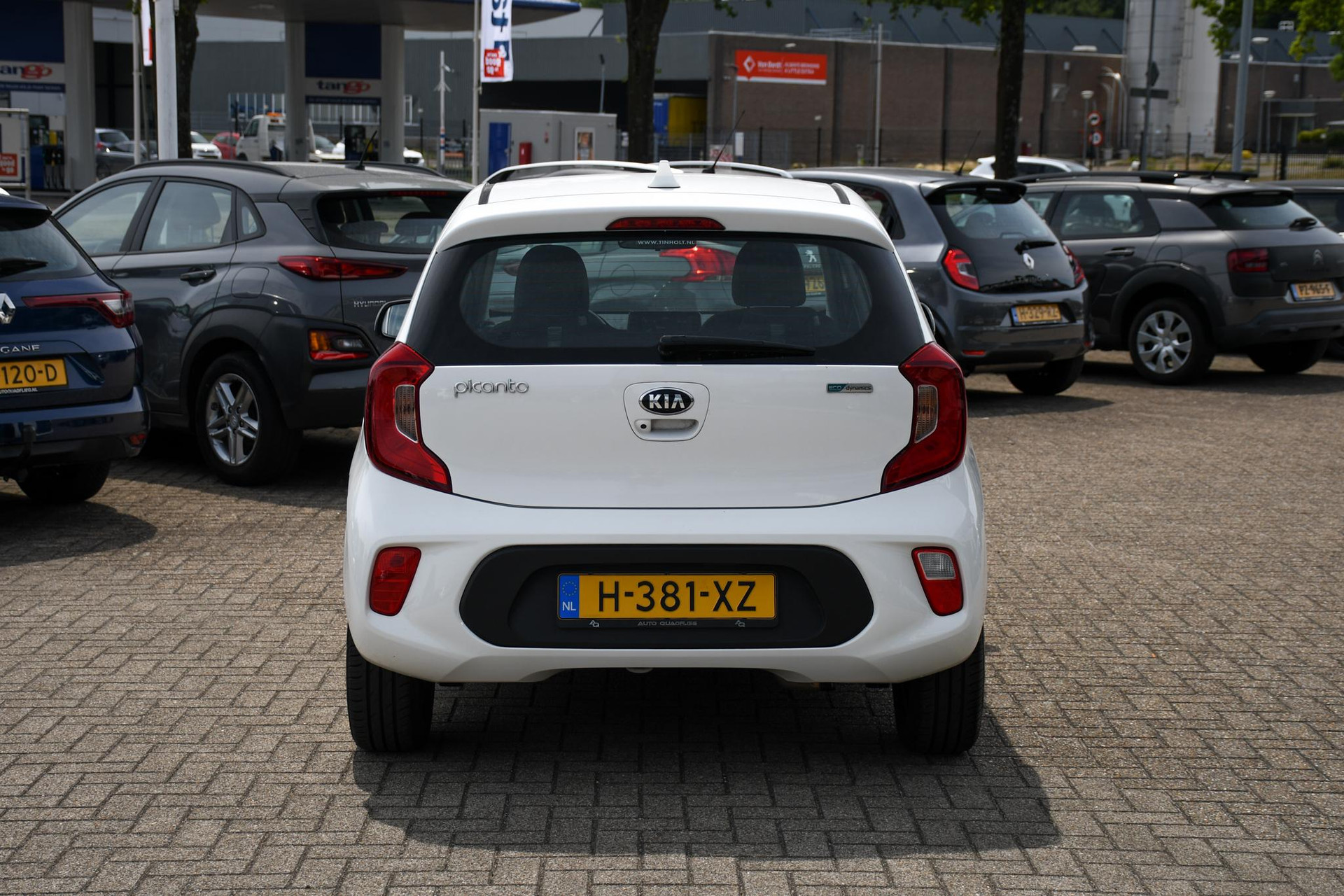 46273341-8.jpg