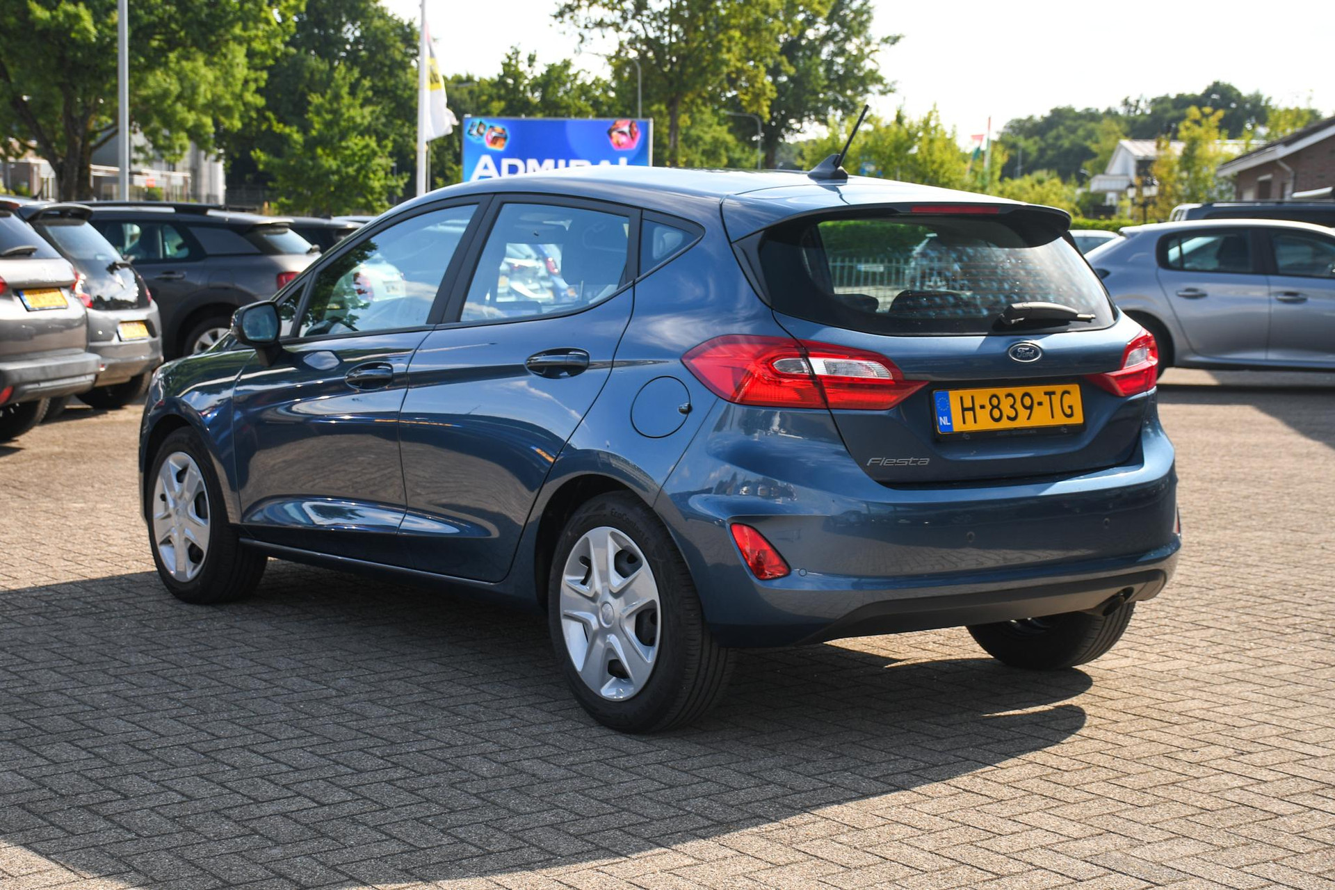 46411244-7.jpg