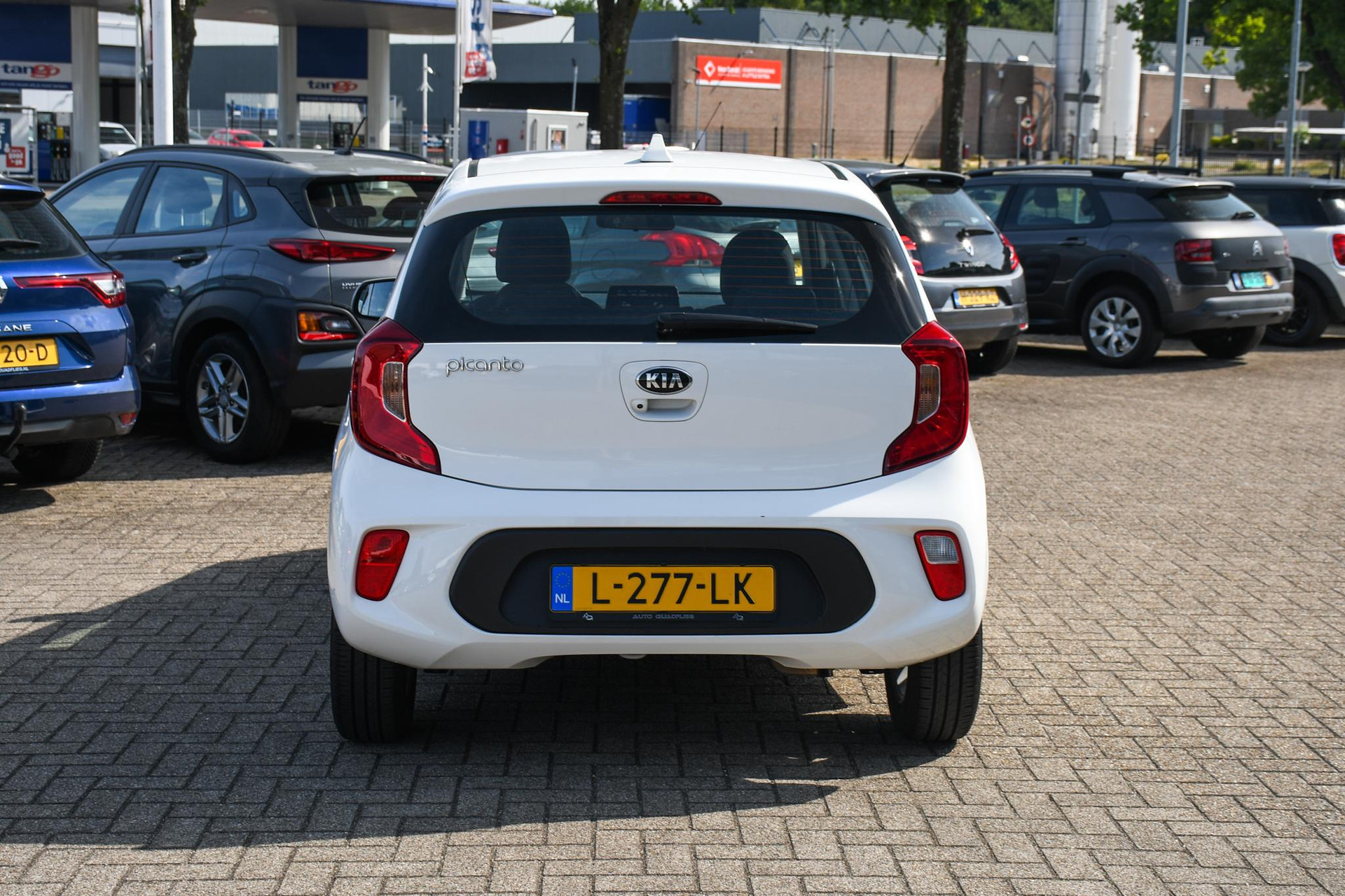 46414766-8.jpg