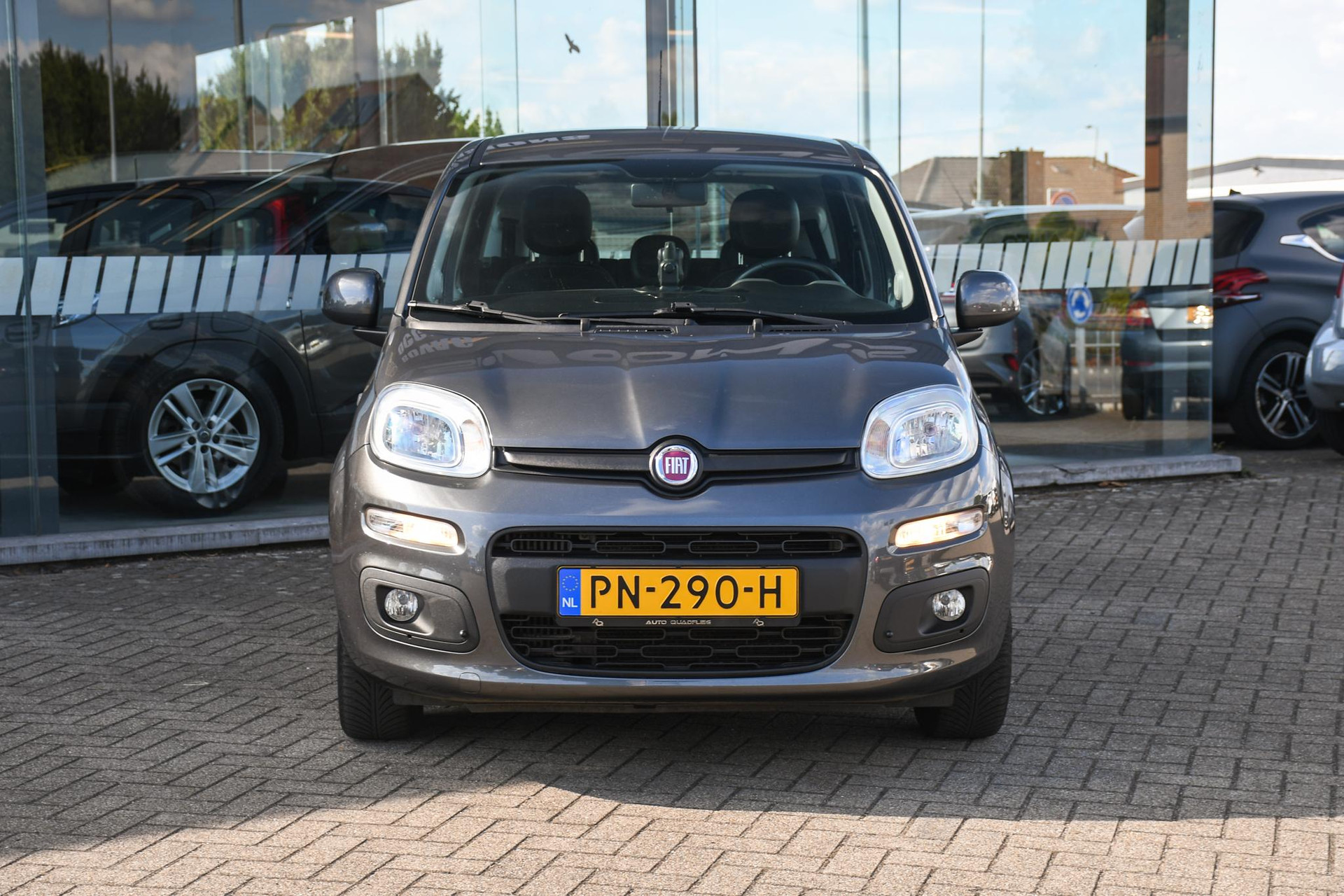 46418665-3.jpg