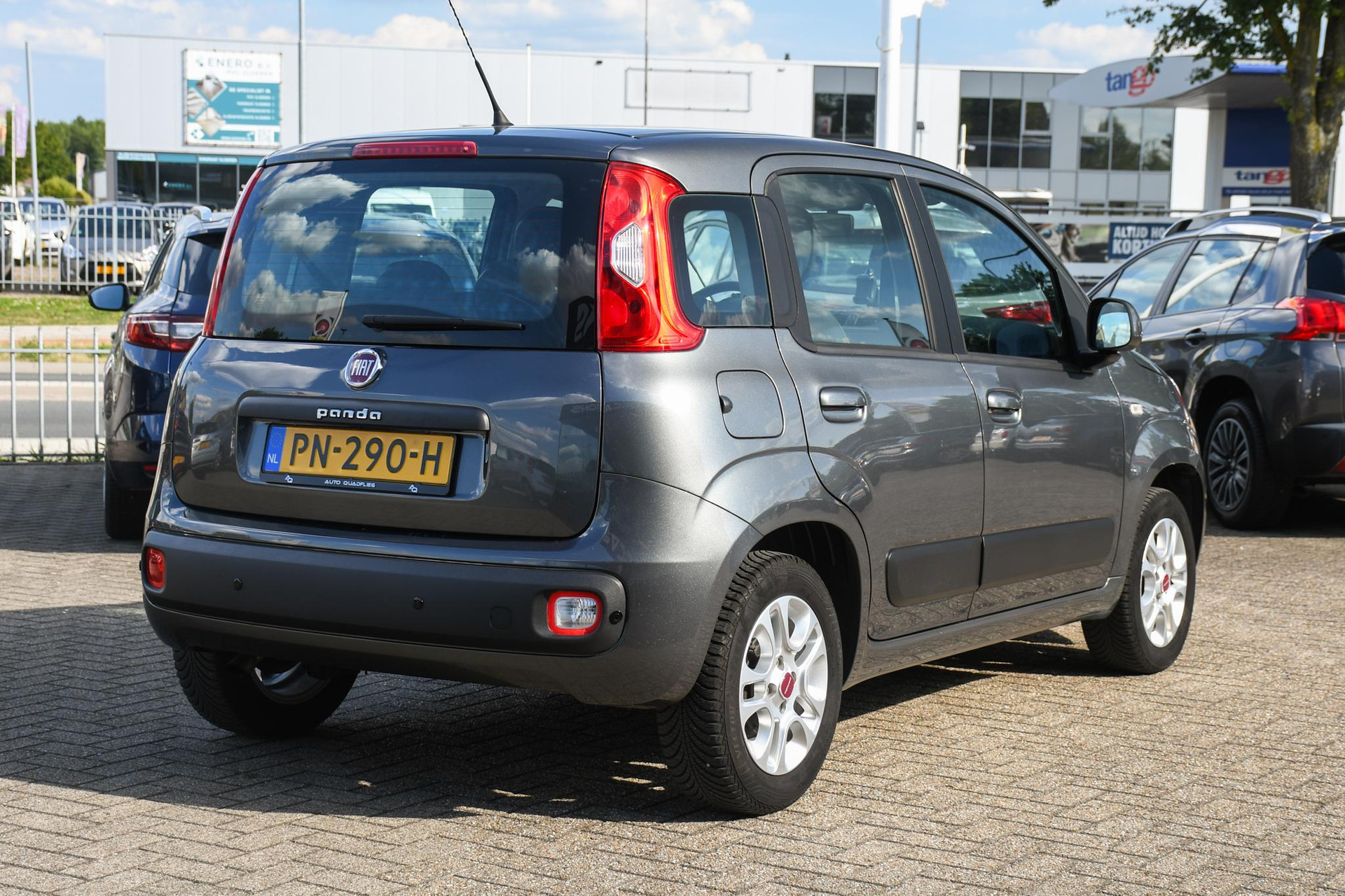 46418665-6.jpg