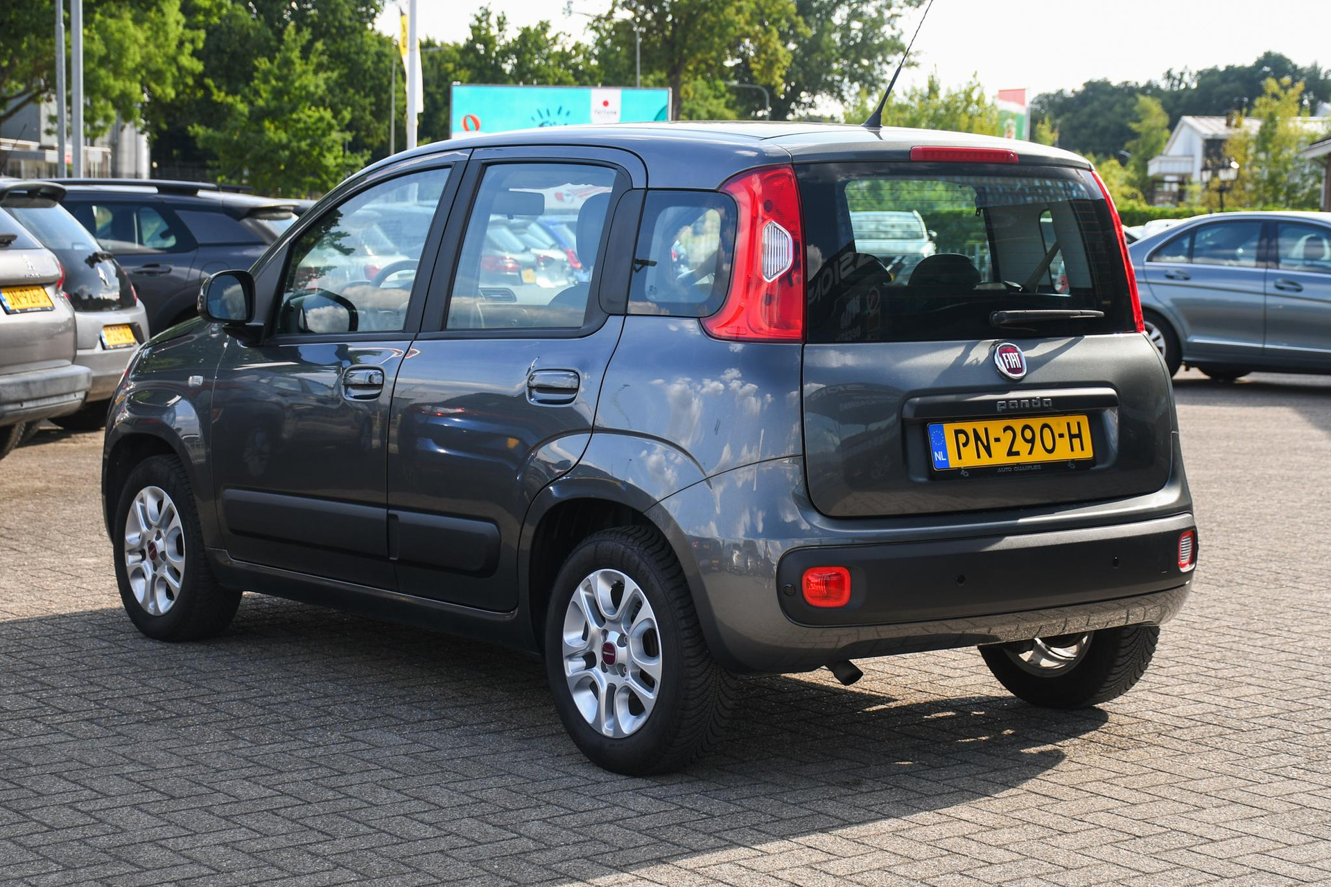 46418665-7.jpg