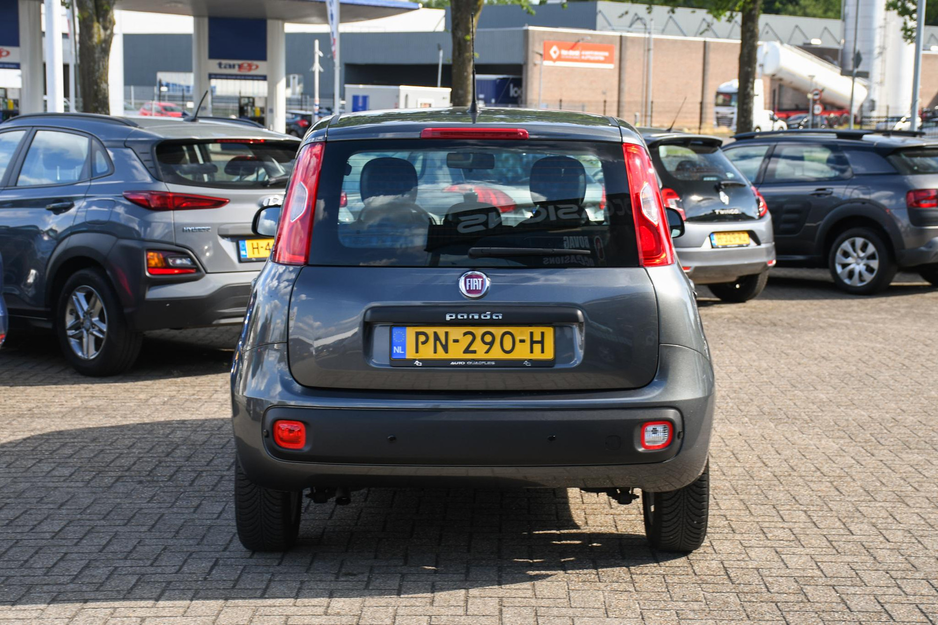 46418665-8.jpg