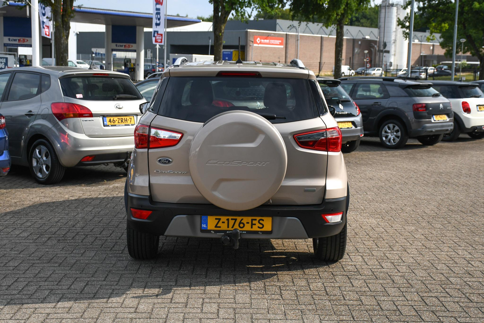 46653018-8.jpg