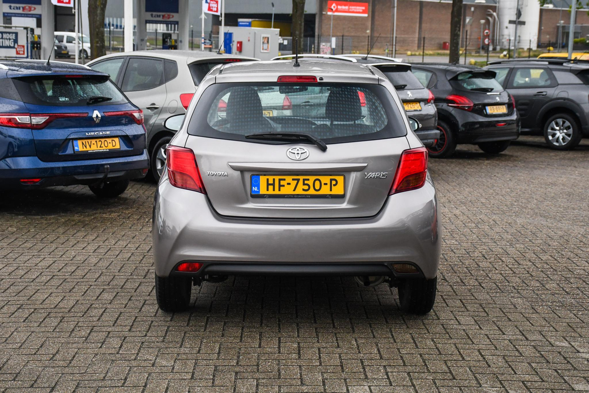 46686872-8.jpg