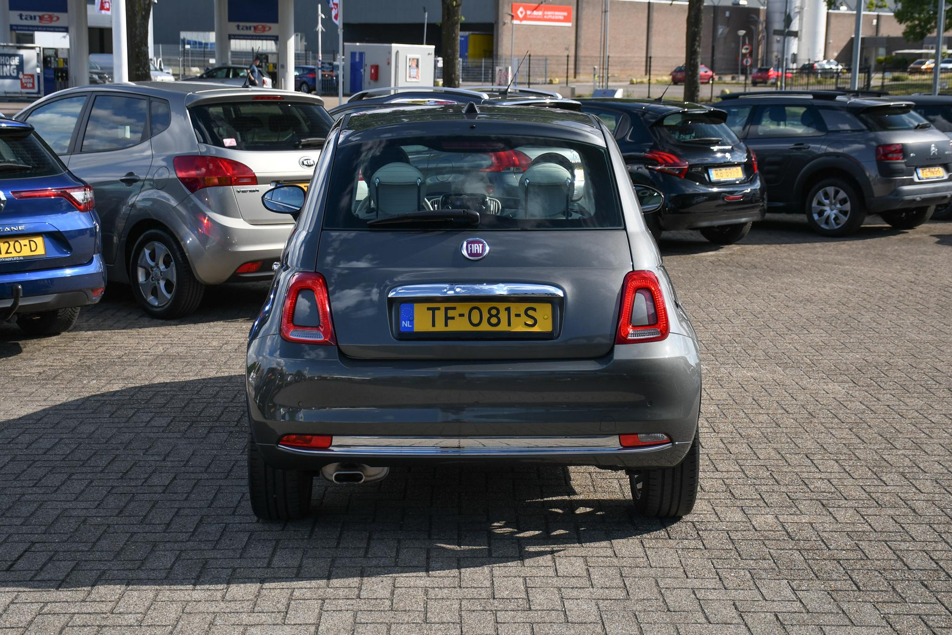 46694321-8.jpg