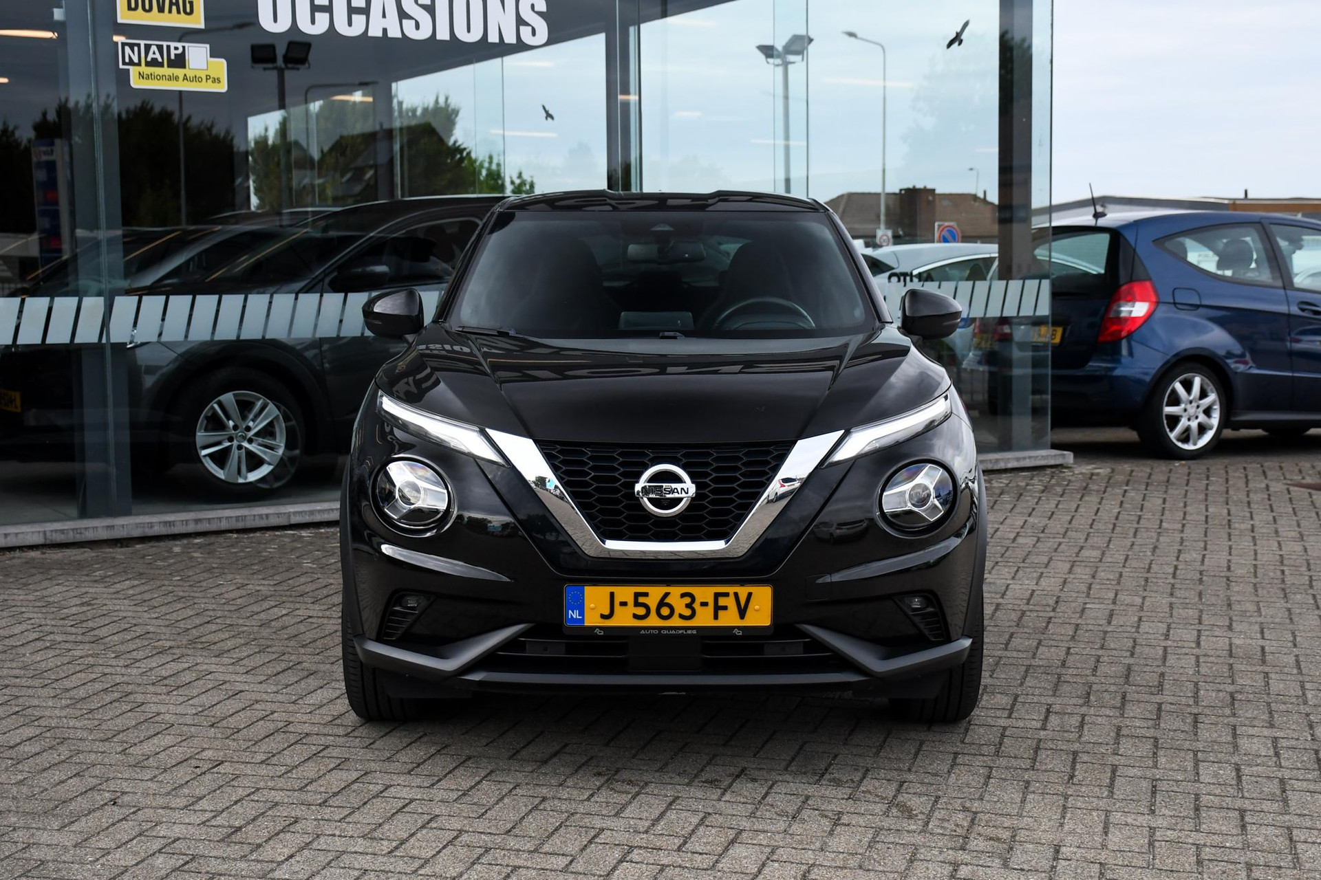 46995021-3.jpg