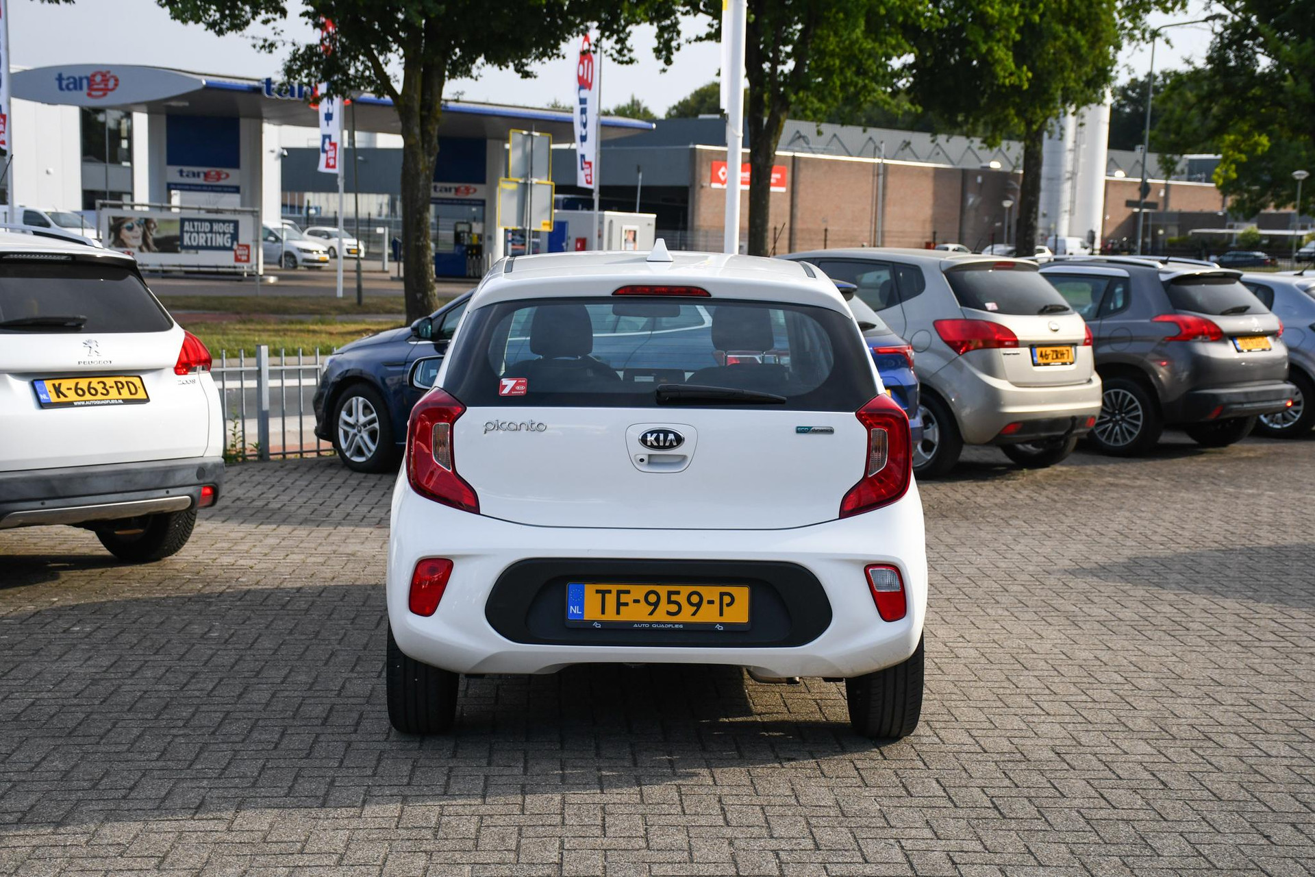47034741-8.jpg