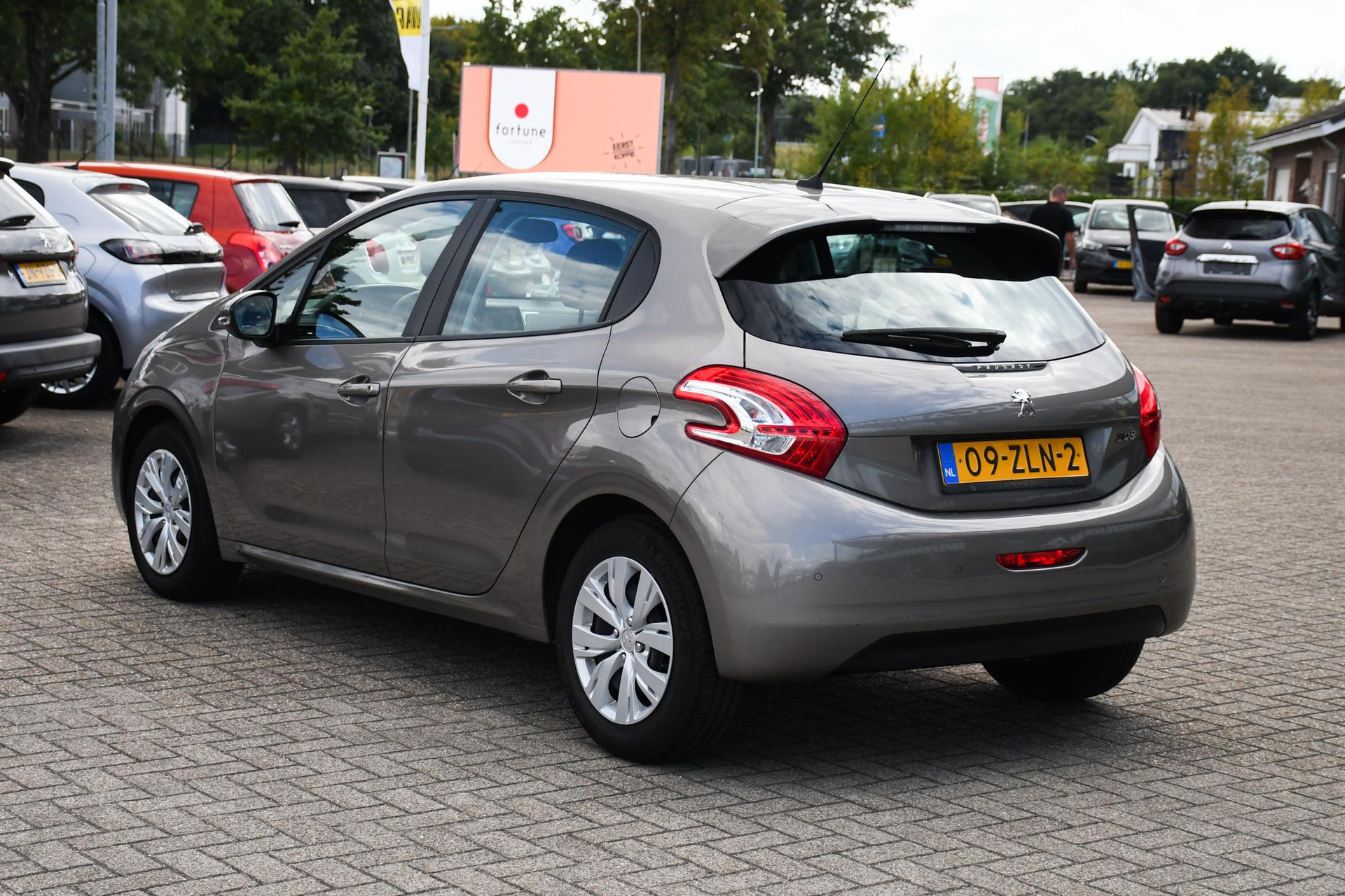 47070149-7.jpg