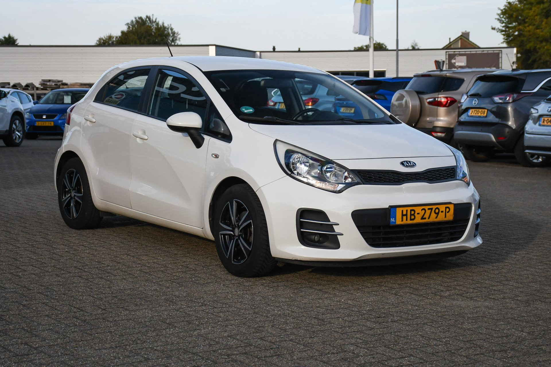 47830643-2.jpg