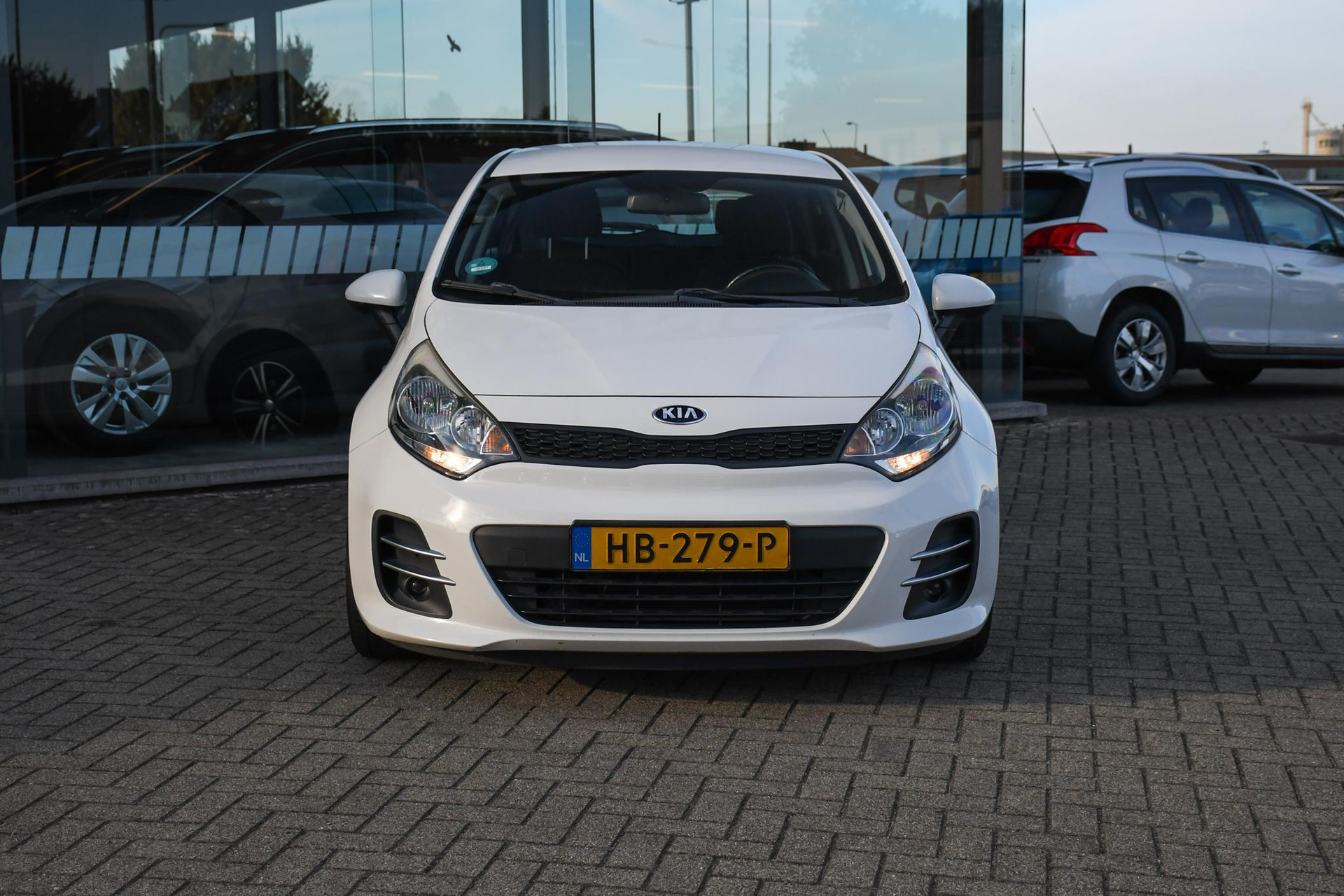 47830643-3.jpg