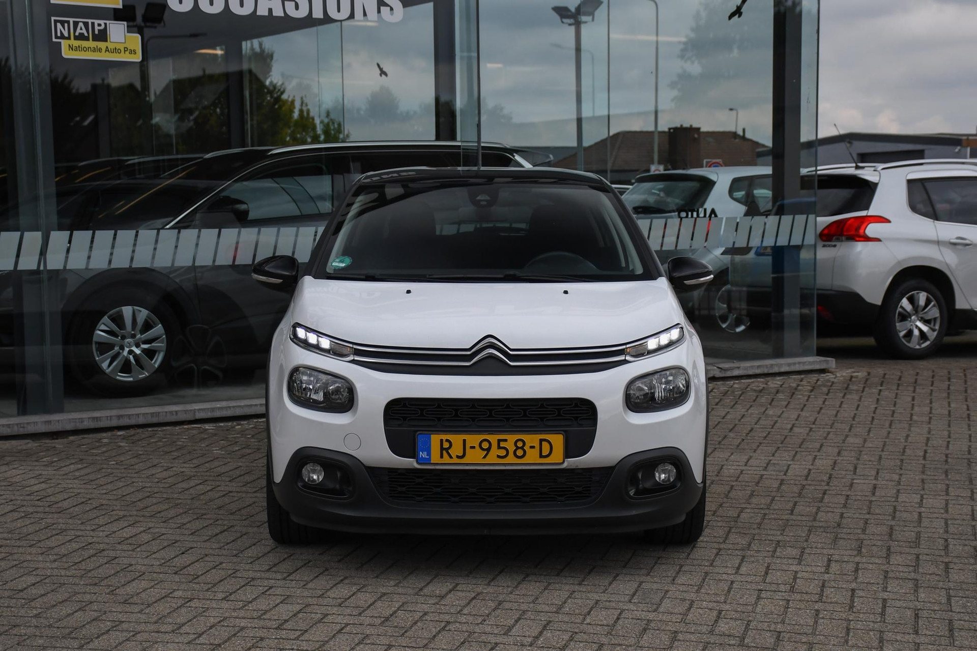 47830652-3.jpg