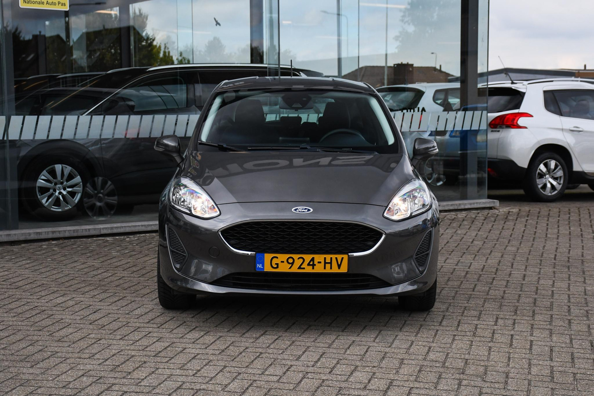 47897642-3.jpg